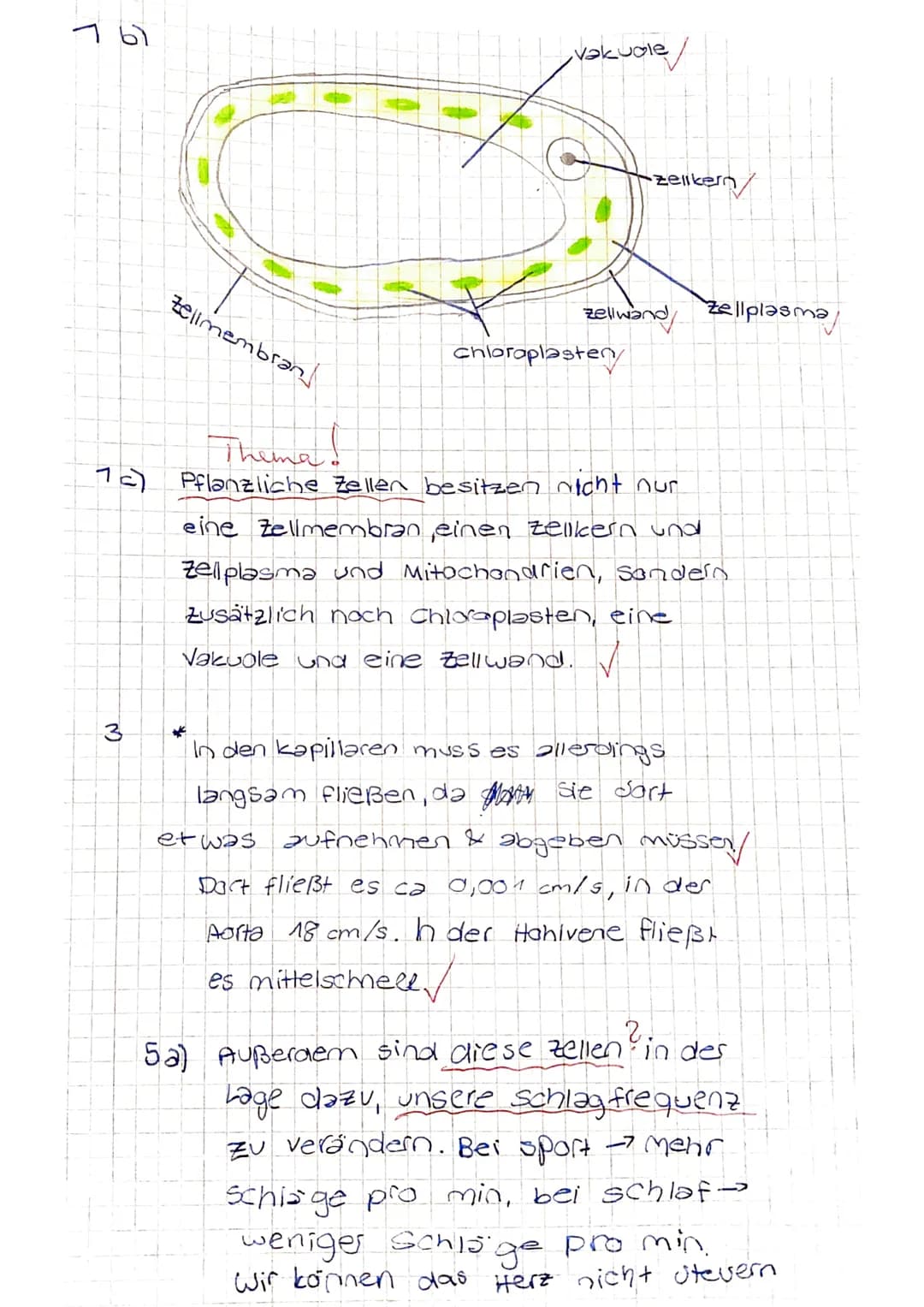 Biologie-Klassenarbeit Nr. 2, Klasse 7c, 27.4.2016

Name:

Punkte: 27/43 Note: 2

Durchschnitt: 3,8. mündliche Leistung:

Punkte

1 Zellen s