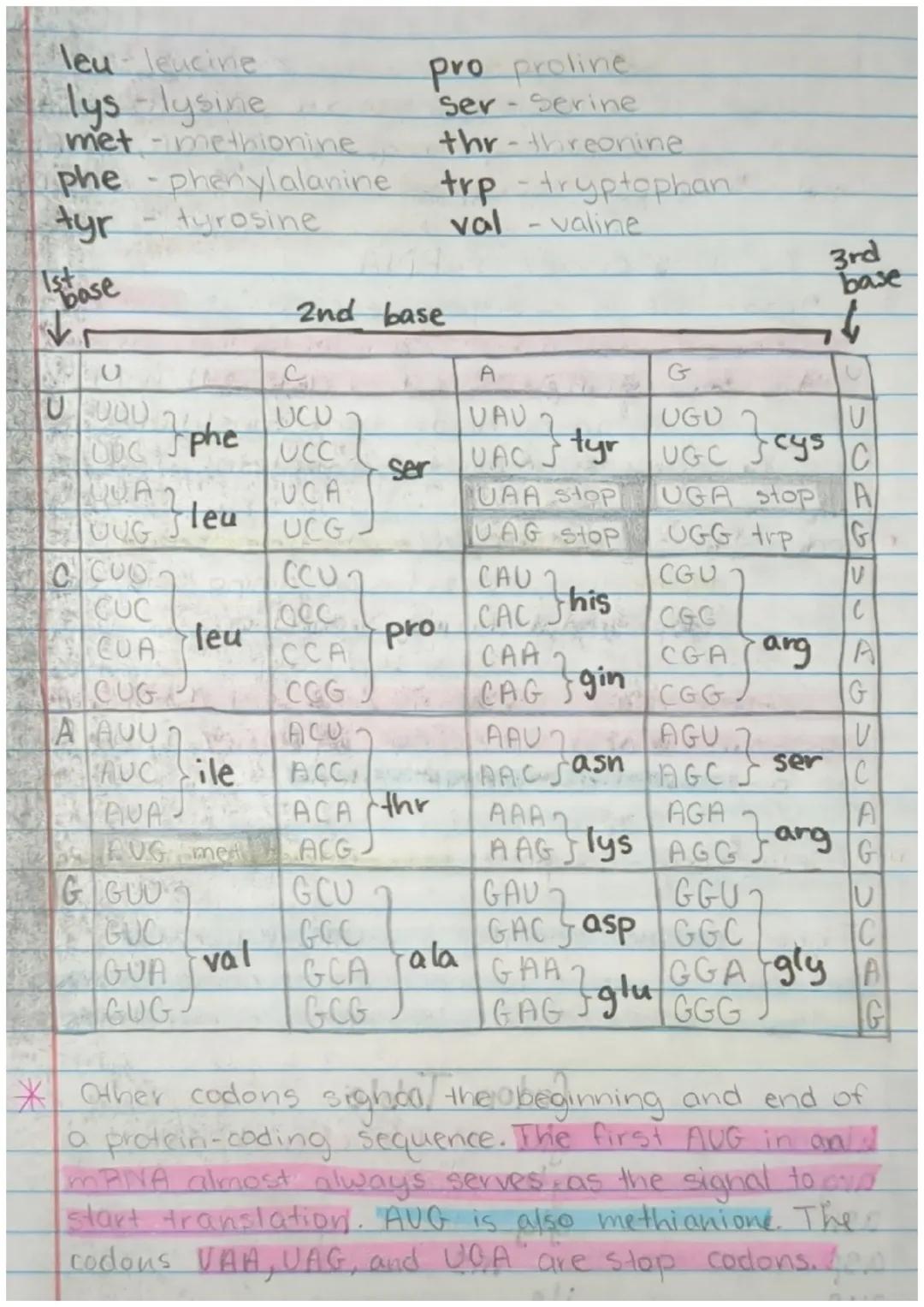 # 9.3 RNA and the Genetic Code

DNA stores heritable info about proteins, but
making those proteins requires mRNA, EANA,
and BNA.

* The Mes