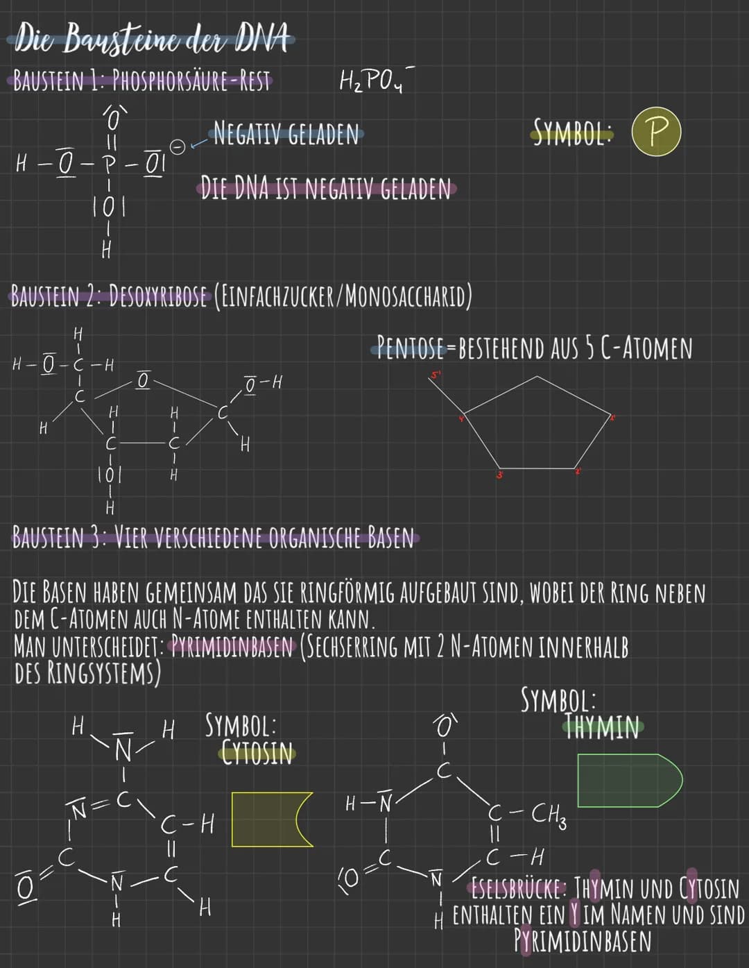 Q.1.1

von der DNA zum Protein

→AUFBAU DER DNA

WATSON-CRICK MODELL (SCHEMA)

P 5'-Phosphat-Ende

101

freies 3'-OH-Ende H

10/

H-C-H

2 H