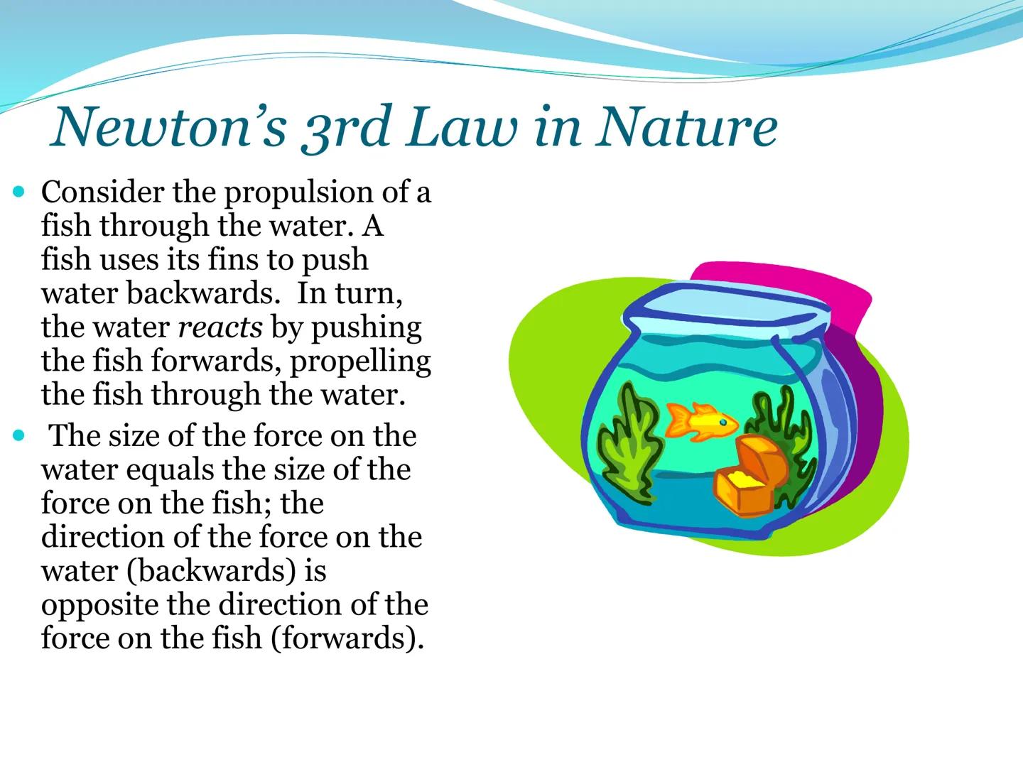 # Newton's Third
Law of Motion 3rd Law

• For every action, there is an
equal and opposite reaction.

• That is to say that whenever an obje
