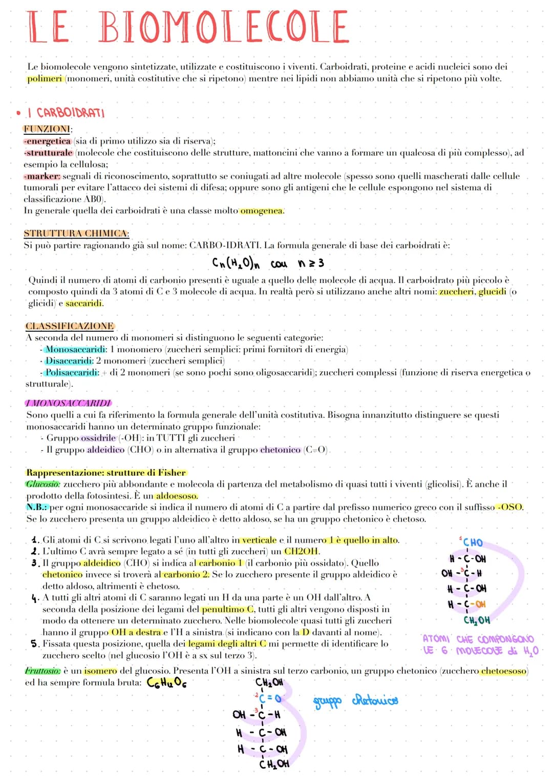 # LE BIOMOLECOLE

Le biomolecole vengono sintetizzate, utilizzate e costituiscono i viventi. Carboidrati, proteine e acidi nucleici sono dei