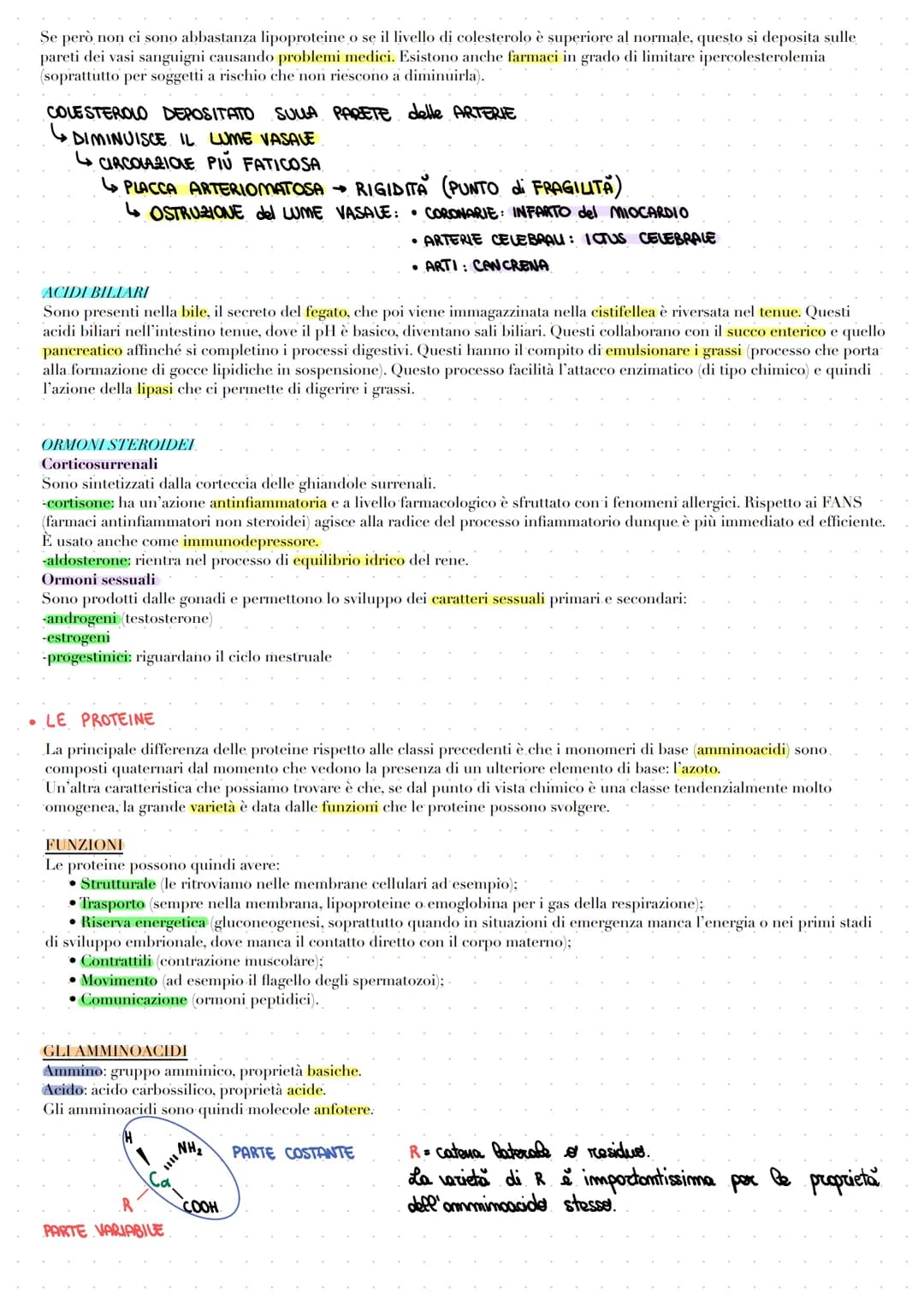 # LE BIOMOLECOLE

Le biomolecole vengono sintetizzate, utilizzate e costituiscono i viventi. Carboidrati, proteine e acidi nucleici sono dei