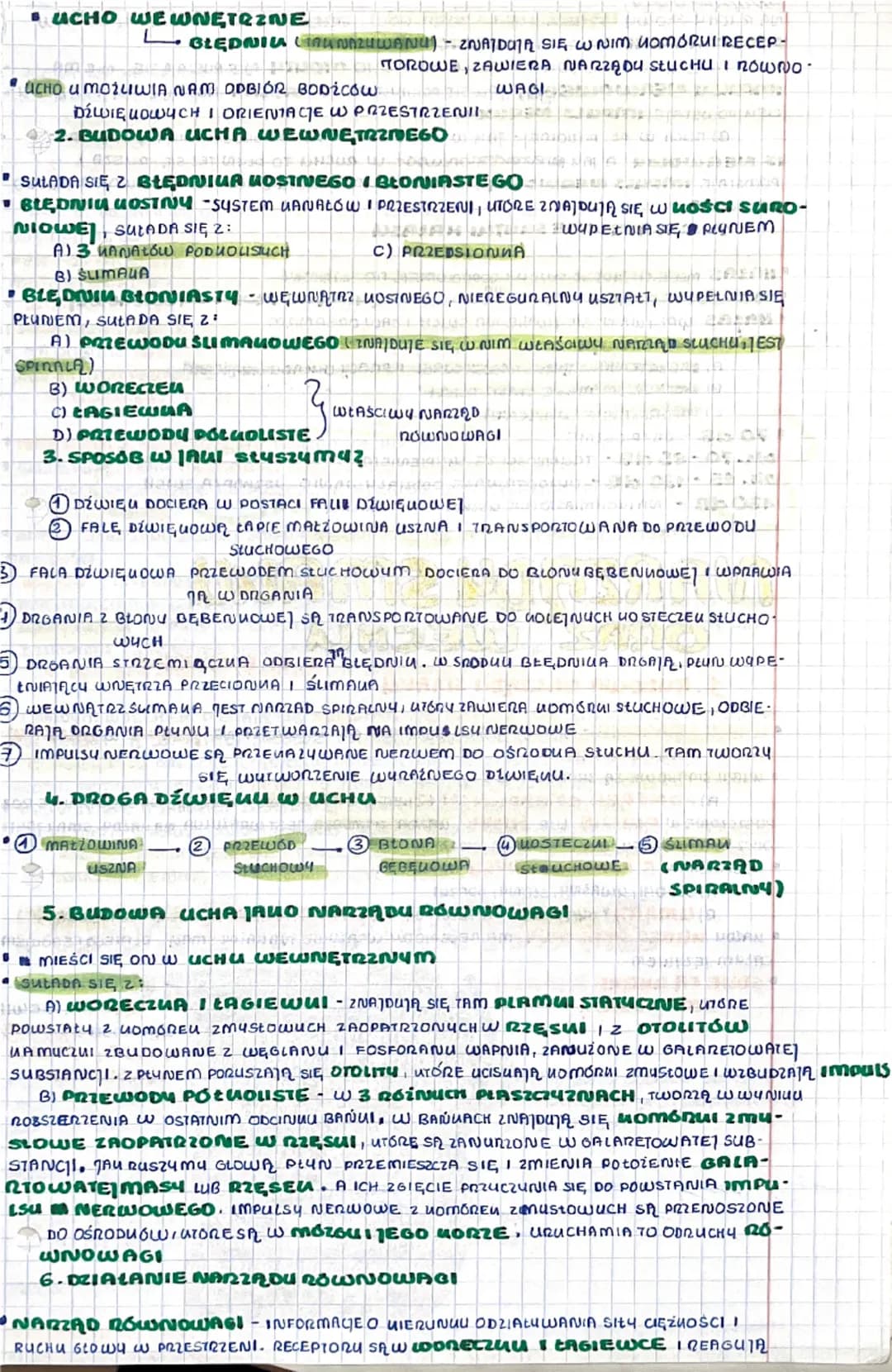 # BUDOWA I DZIAŁANIE

NARZĄDU WZROKU

XXIX. V. mmXXIIIr.

1. RECEPTORY + PODZIAC

*   RECEPTORU WYSPECIALIZOWANE KOMÓRUI LUB WOLNE ZAKOŃCZEN