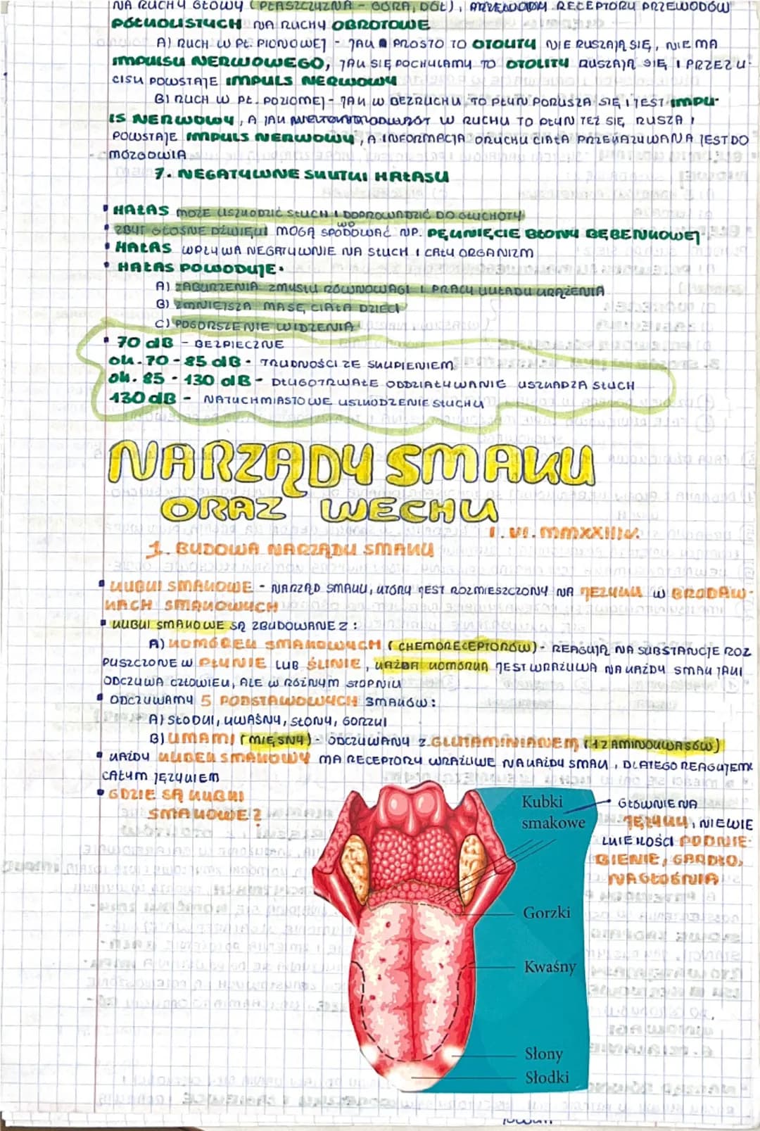 # BUDOWA I DZIAŁANIE

NARZĄDU WZROKU

XXIX. V. mmXXIIIr.

1. RECEPTORY + PODZIAC

*   RECEPTORU WYSPECIALIZOWANE KOMÓRUI LUB WOLNE ZAKOŃCZEN