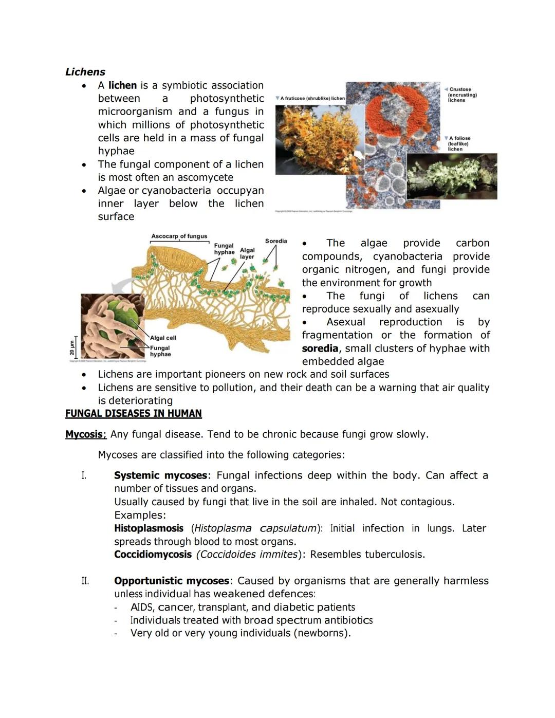 FUNGI, ALGAE, PROTOZOA, and PARASITES

- Some fungi have hyphae divided into
cells by septa, with pores allowing cell-
to-cell movement of o