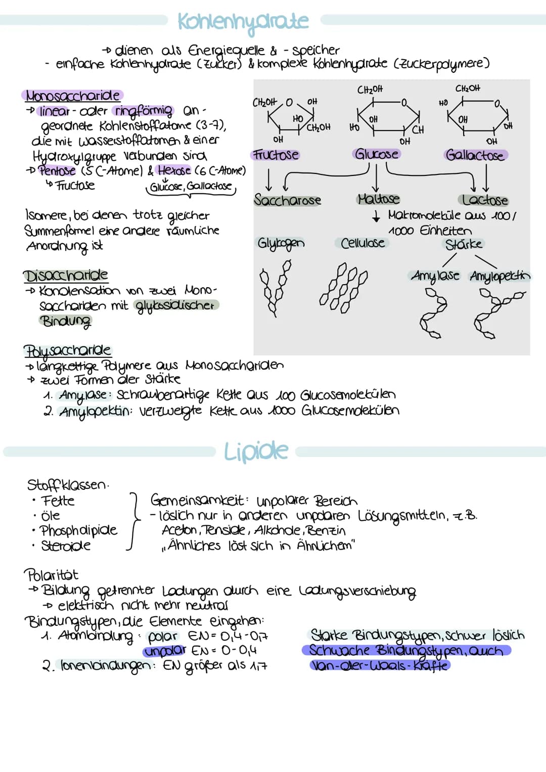 ## Zellbiologie

## Zellorganellen

| Funktion |
| --- |
| - Abgrenzung zum Zellinneren |
| - vermeidet Substanzvermischung |
| - Signale we