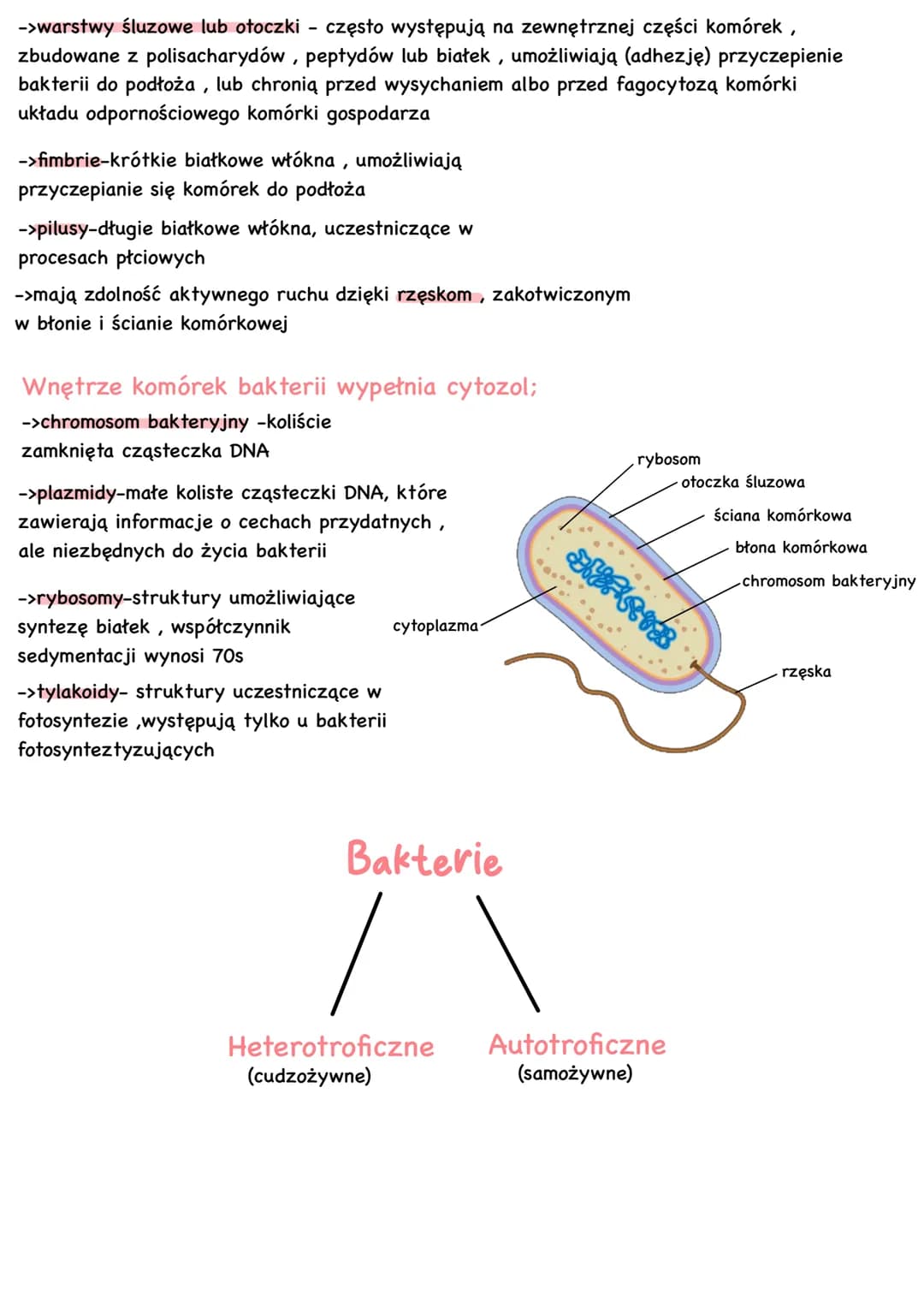# Bakterie i archeowce

-> są organizmami prokariotycznymi
(bez jądra komórkowego)

-> są organizmami
kosmopolitycznymi- występują na
całej 
