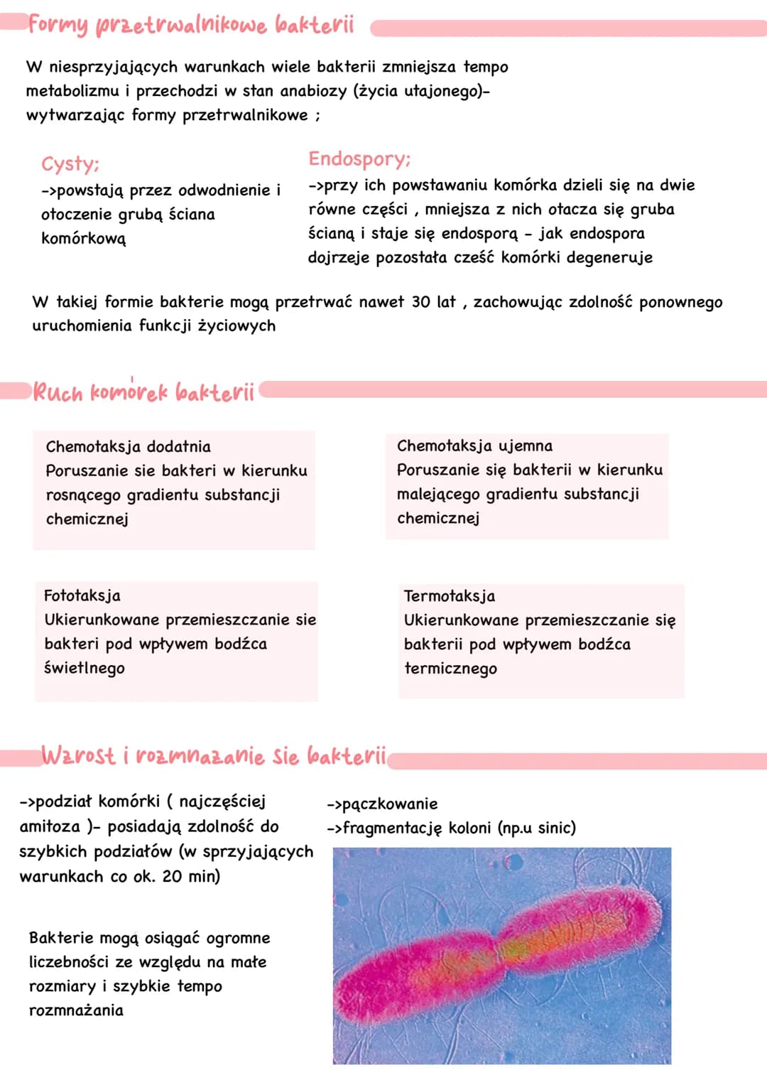 # Bakterie i archeowce

-> są organizmami prokariotycznymi
(bez jądra komórkowego)

-> są organizmami
kosmopolitycznymi- występują na
całej 