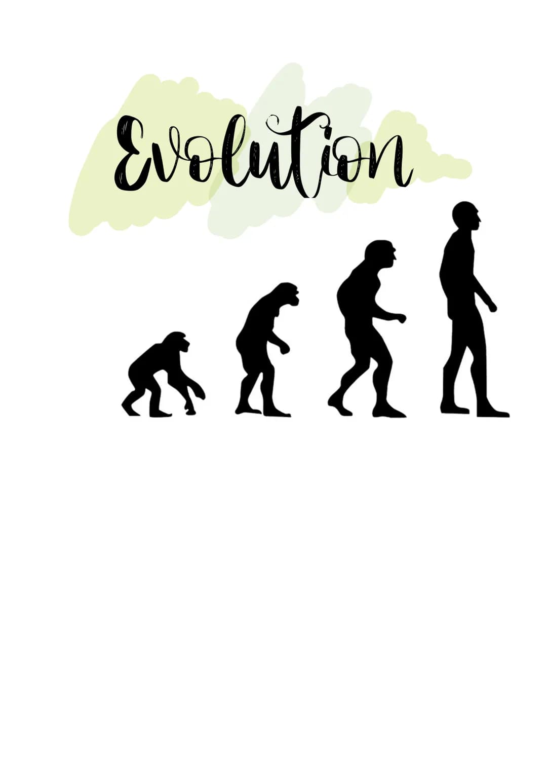 # Evolution # Evolution

- Beschäftigung mit allen Prozessen der Entstehung, Umwandlung und
Weiterentwicklung des Lebens auf der Erde, durch