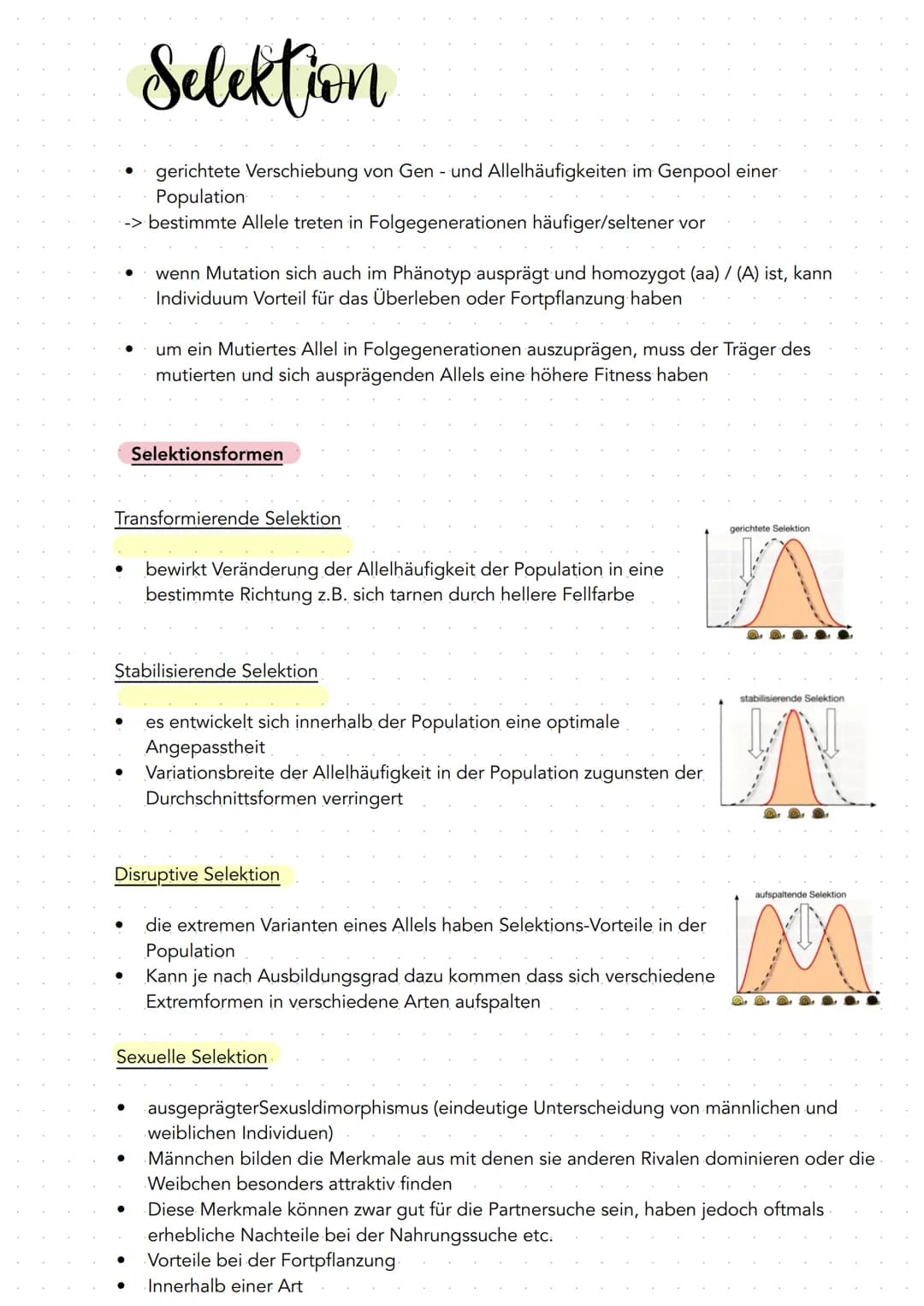 # Evolution # Evolution

- Beschäftigung mit allen Prozessen der Entstehung, Umwandlung und
Weiterentwicklung des Lebens auf der Erde, durch