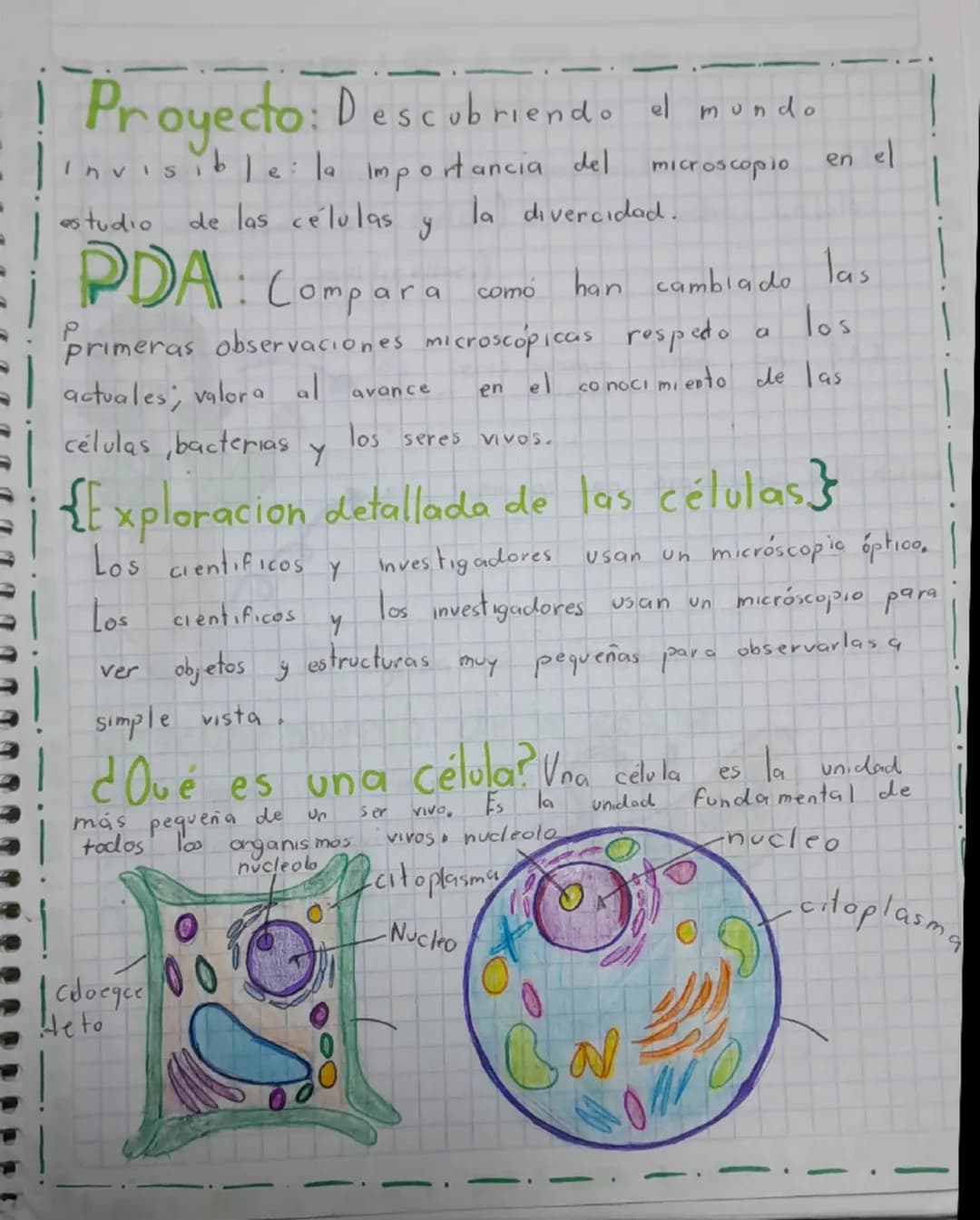 # Proyecto: Descubriendo el mundo

- Invisible: la Importancia del microscopio en el
estudio de las células y la divercidad.

# PDA: Compara