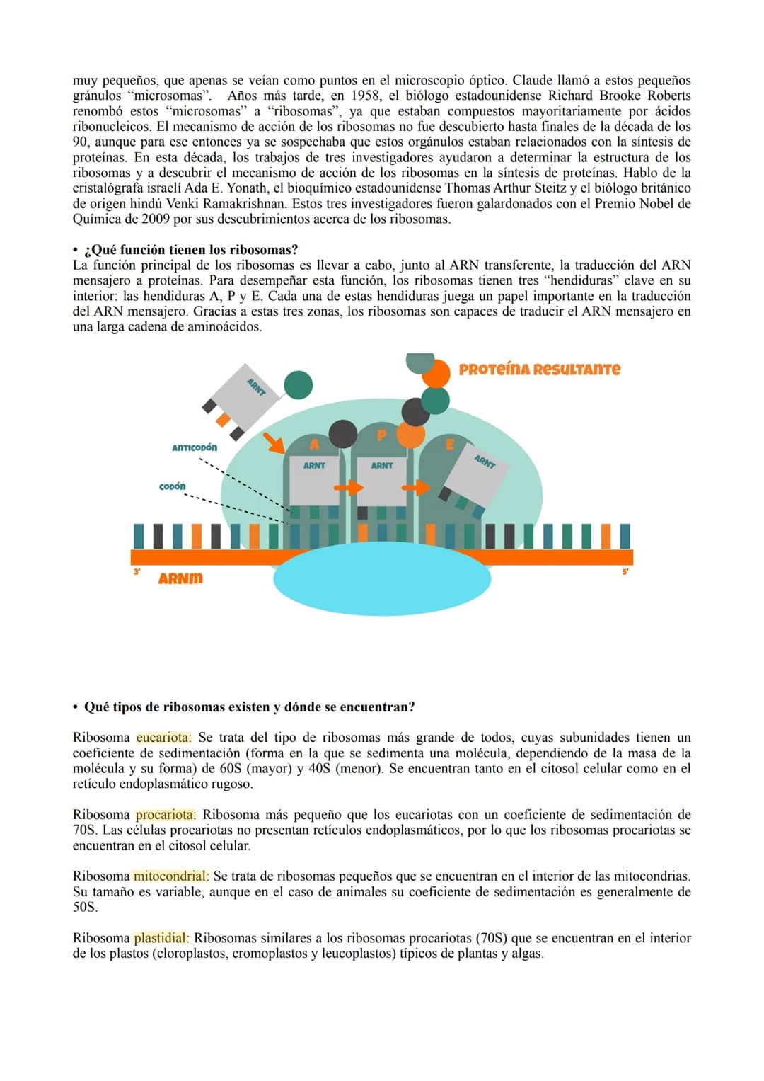# LA CÉLULA

TIPOS DE CÉLULA

La célula procariota:

Las células procariotas estructuralmente son las más simples y pequeñas. Como toda célu
