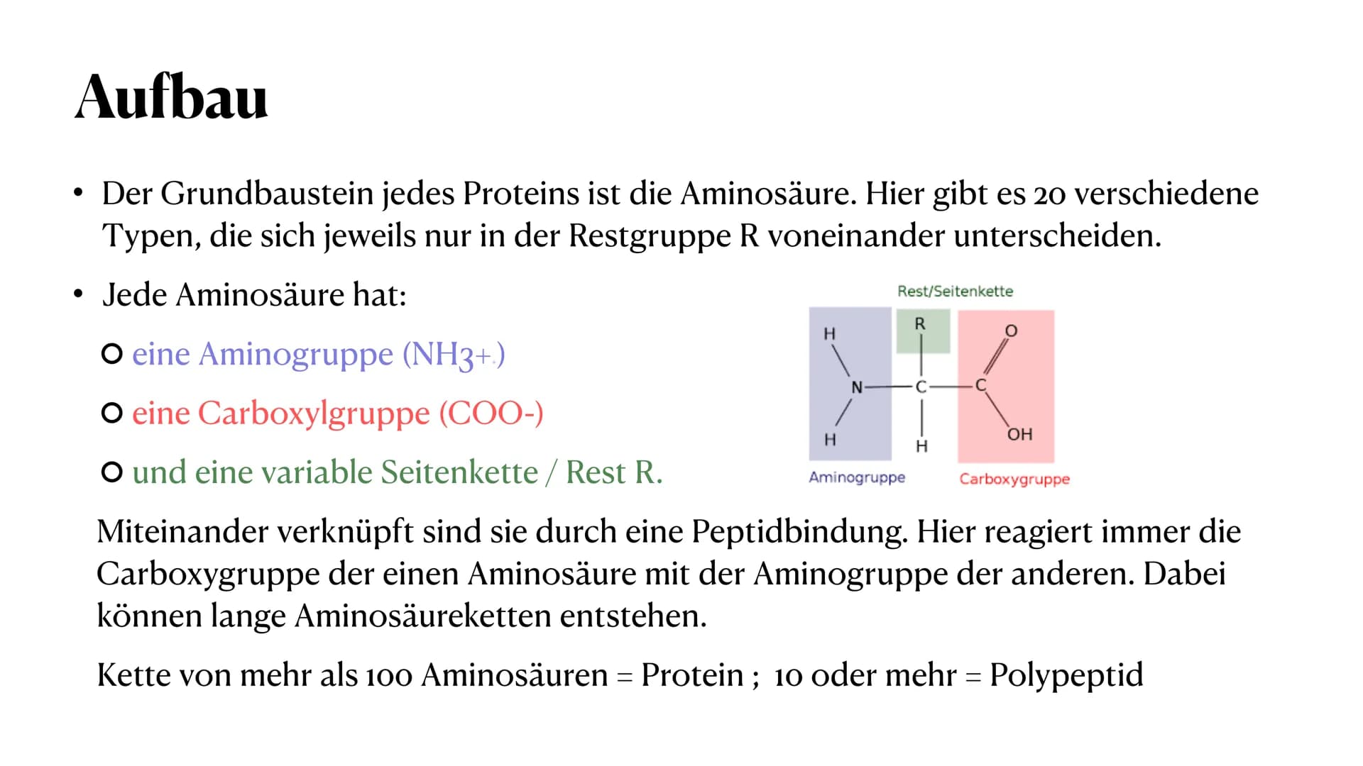 # PROTEINE

VON MELEK KAPLAN # Proteinen

Wichtige Moleküle im Körper von Lebewesen

Proteine (Eiweiße) sind Makromoleküle. Man versteht dar