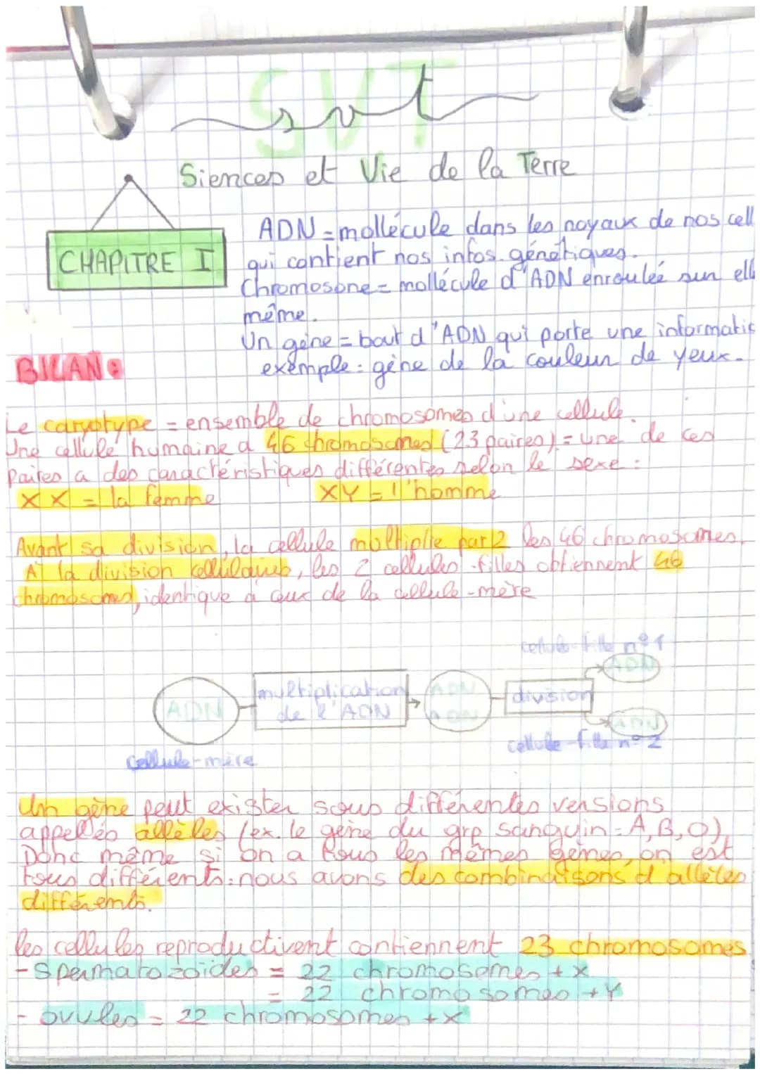# SVT

Siences et Vie de la Terre

ADN-mollécule dans les noyaux de nos cell
qui contient nos infos génétiques.

Chromosone - mollécule d'AD