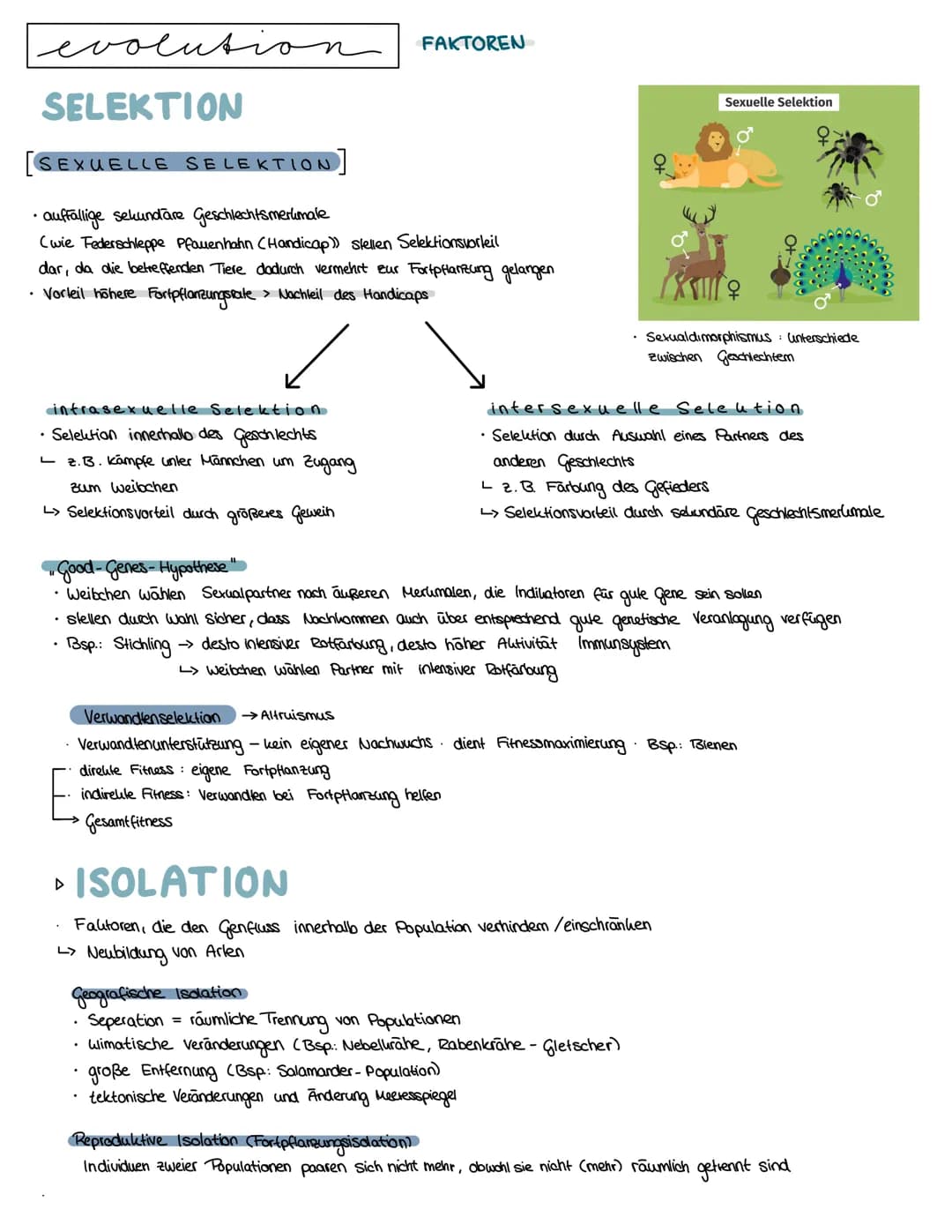 # Semester 4

evolution # evolution THEORIEN

LAMARCK 1809 Artenwandel durch Vererbung erworbener Eigenschaften

innerer Trieb zur Vervollko