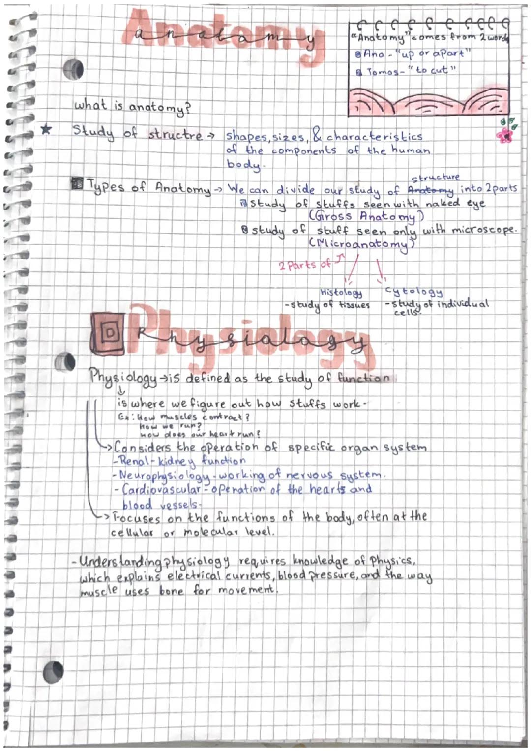 # Directional Terms and Joint Moveme
-nt.

## Anatomical Position

sughal
Mane

Tromsverse
Plane

Medial
coserto
Lateral
Carther
Body Planes
