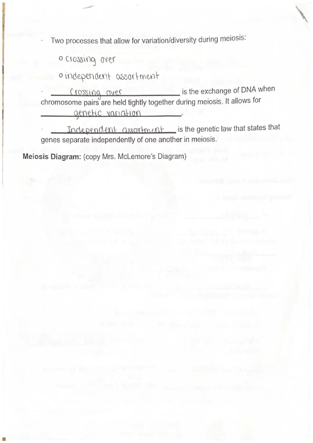 Bio I
Unit 5 Notes: Cell Reproduction
Maryanna s.

Chromosome Structure:
*   Chromosomes are rod-shaped structures made
of DNA and protein
*
