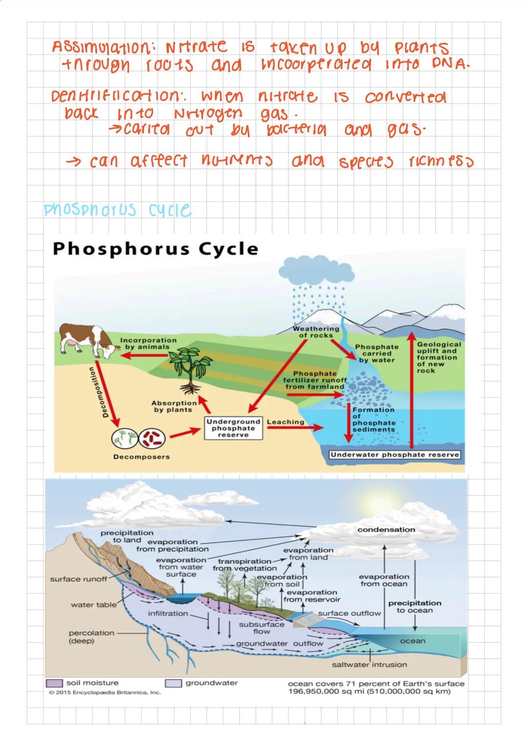 # APES: UNIT ONE

Earths energy
*   Host of the energy comes from the sun
*   A tiny praction comes from
    *   ocean tides
    *   Geother