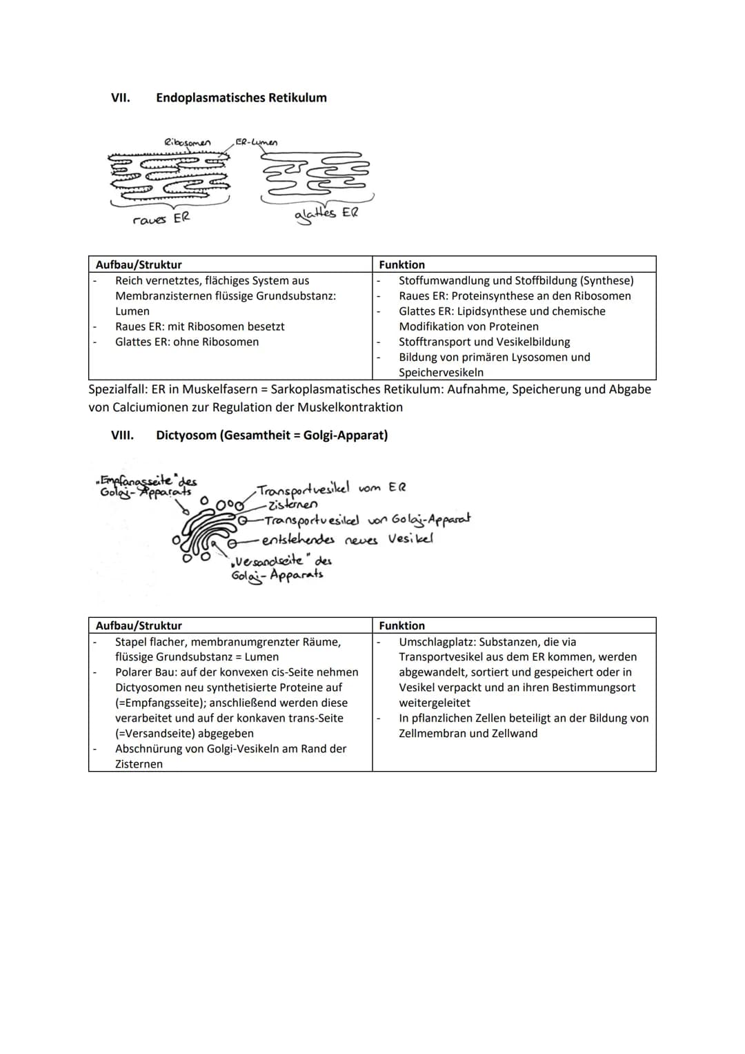 Genregulation...............................................................................................................................