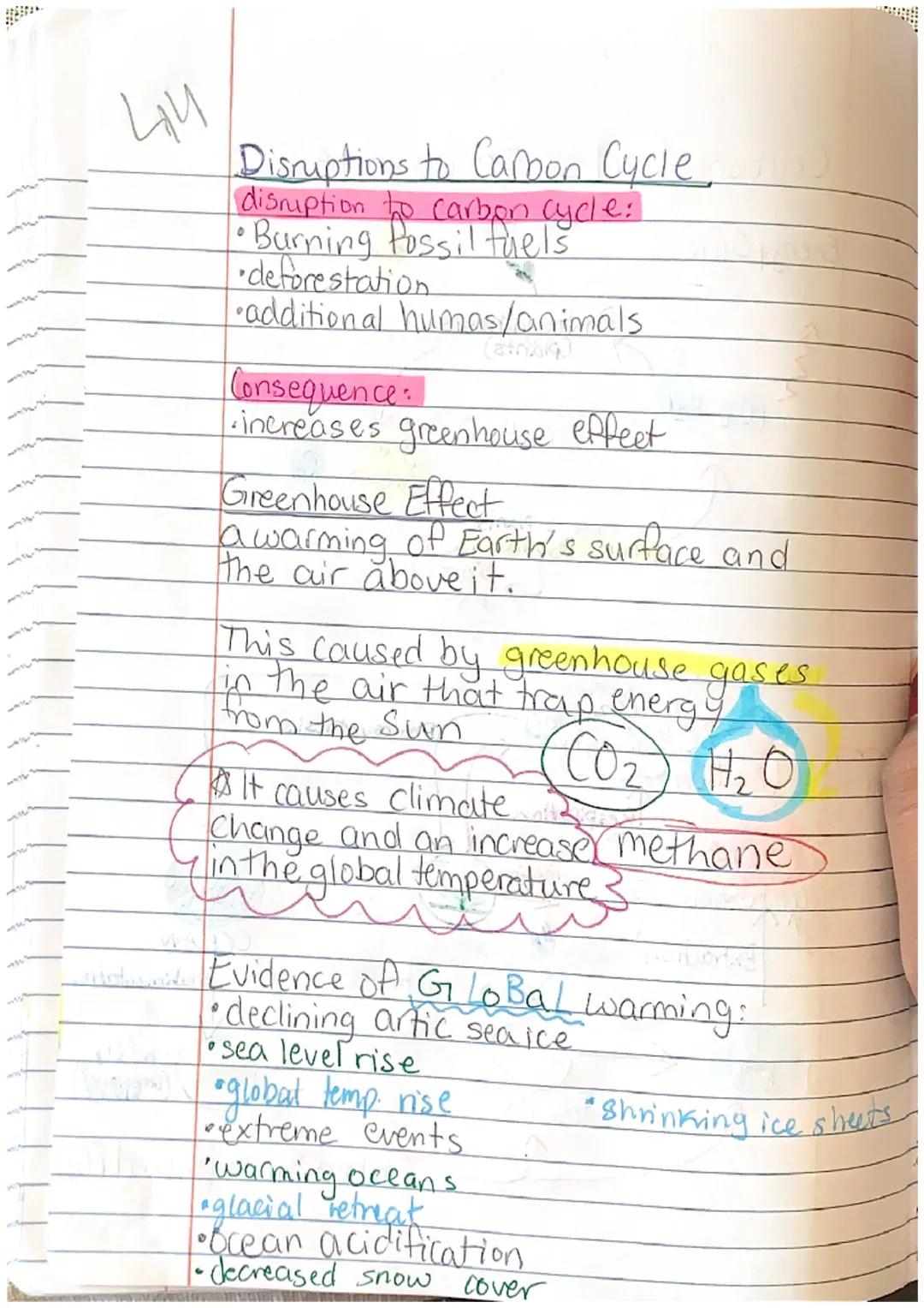 Carbon Cycle Ed.puzzle.....

Energy Cycle

(02 H20

Photosynthesis
(plants)

Sun

CO2 H2O

C6H12O6
Sugars
glucose On

bao
animals, plants
Ce