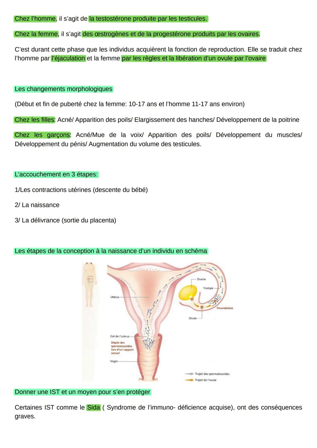SVT

-Reproduction et comportement sexuel responsables-

Mots clés:

Caractères sexuels primaires: Ils correspondent aux organes de l'appare