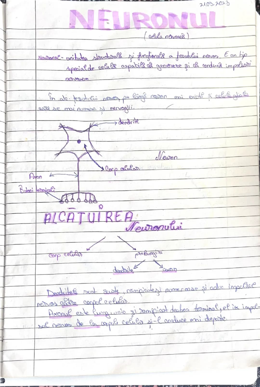 21.03.2023
# NEURONUL
(celula novoasa)

Neuronal- unitatea structurales si functionals a fesutulini novers. E un tip
special de celula capab