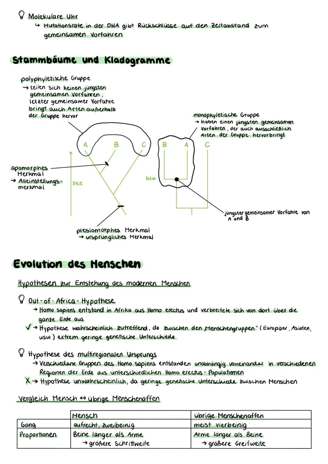# Evolution

Darwins Evolutionstheorie

Schrittweise, über viele Generationen hinweg, passive Anpassung durch Wirken der Selektion
→Artwande