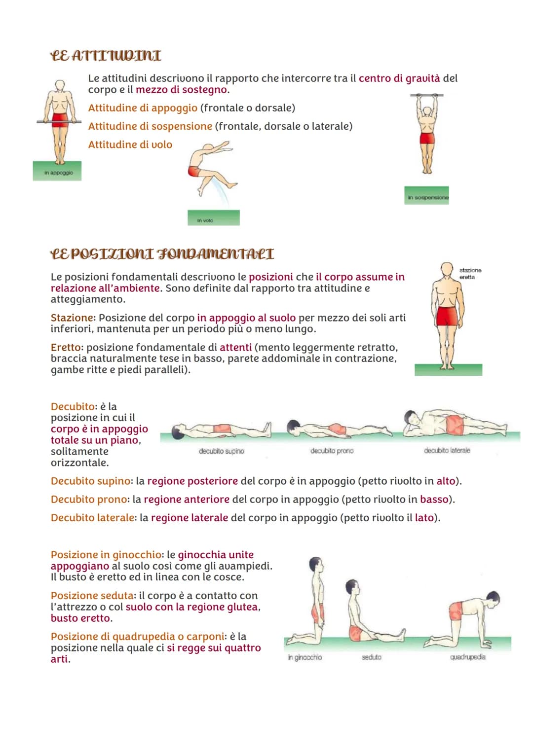 # SCIENZE MOTORIE

## LA TERMINOLOGIA IN SCIENZE MOTORIE

La conoscenza della terminologia di base è utile per conoscere meglio il proprio c
