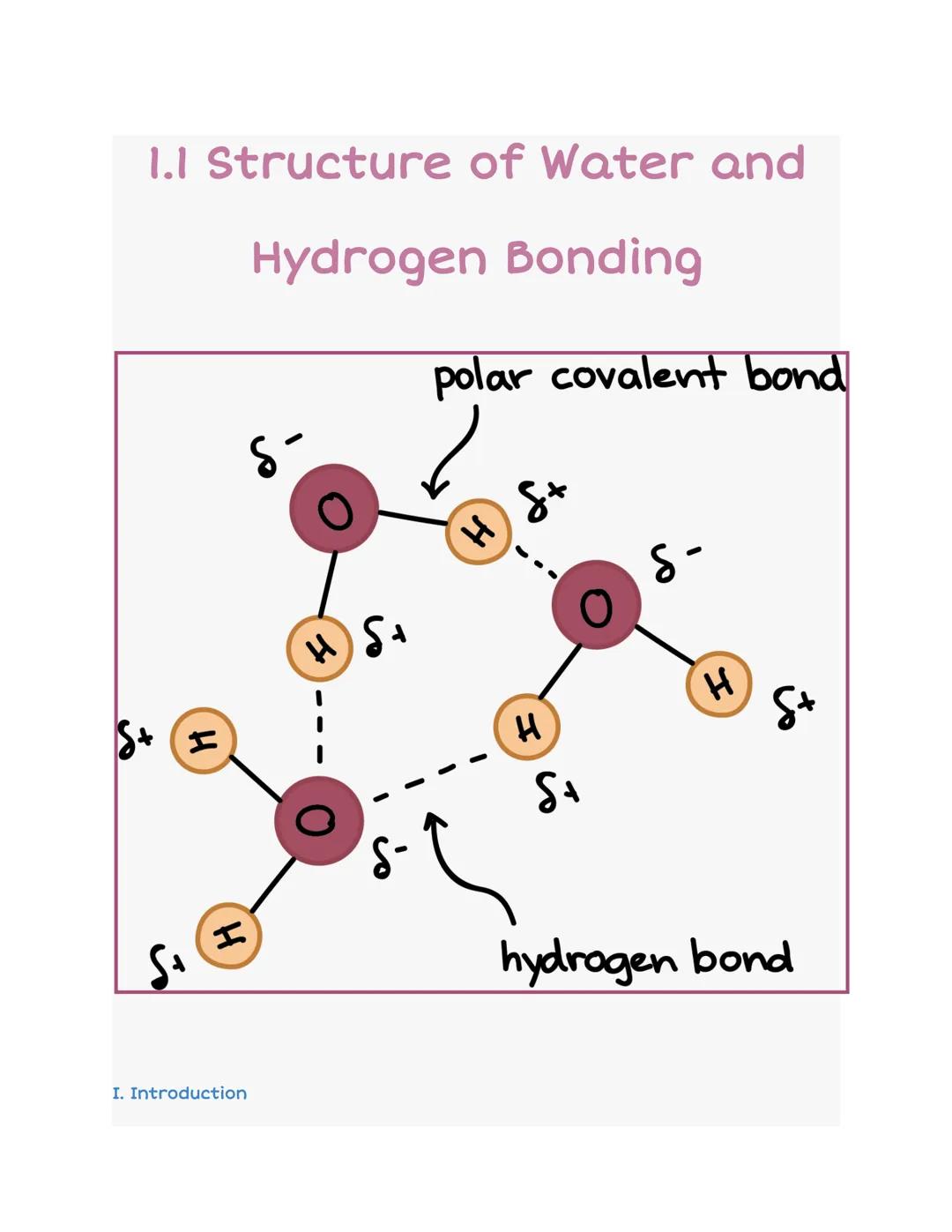 # 1.1 Structure of Water and

Hydrogen Bonding

polar covalent bond

S+ I
H

I. Introduction

δ

Η δ

Hf
H
H

St

S-

hydrogen bond

St - Wa