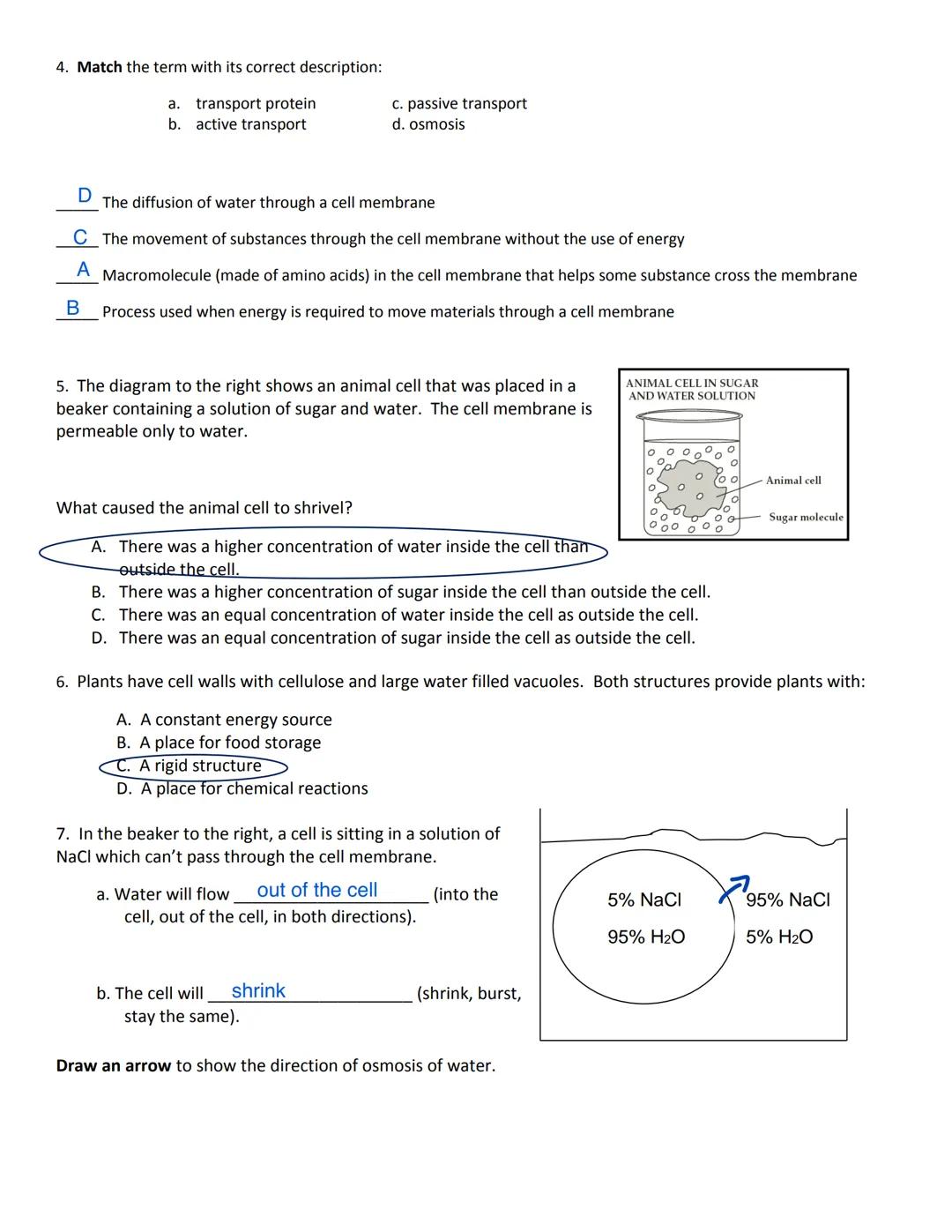Name:

# Cell Transport Rules
Rule # 1: Not everything can get through a cell membrane. They are selectively permeable.

In the picture to t