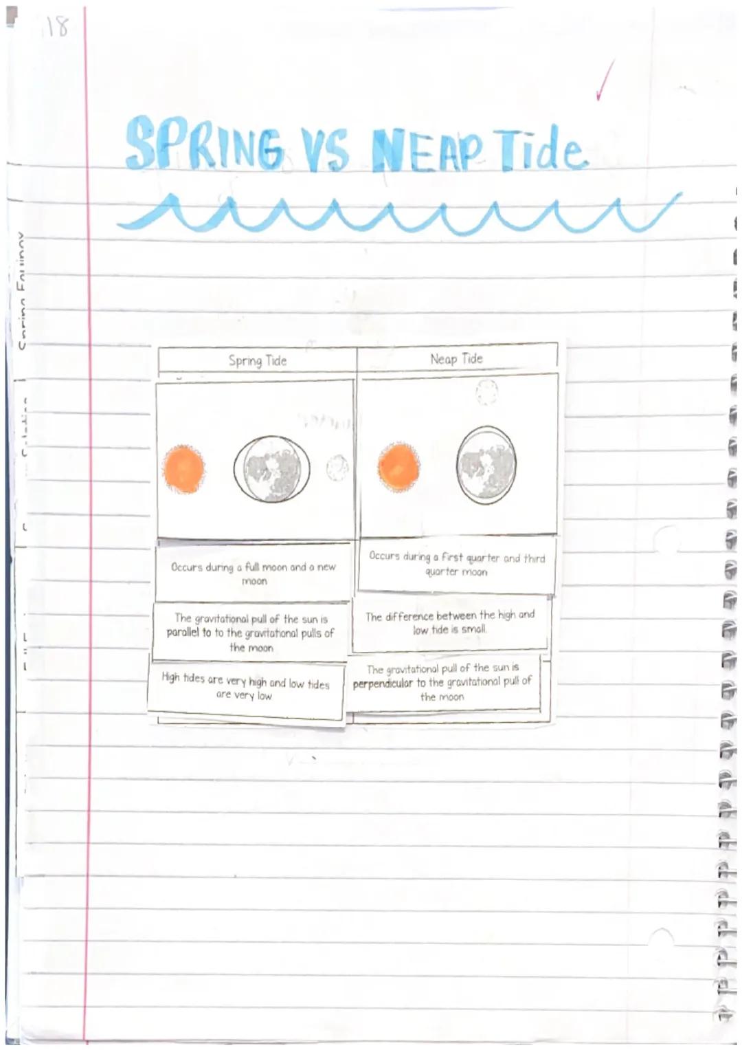 Coring Fouinov
18
# SPRING VS NEAP Tide

| Spring Tide | Neap Tide |
| ----------- | ----------- |
|  |  |
| Occurs during a full moon and a