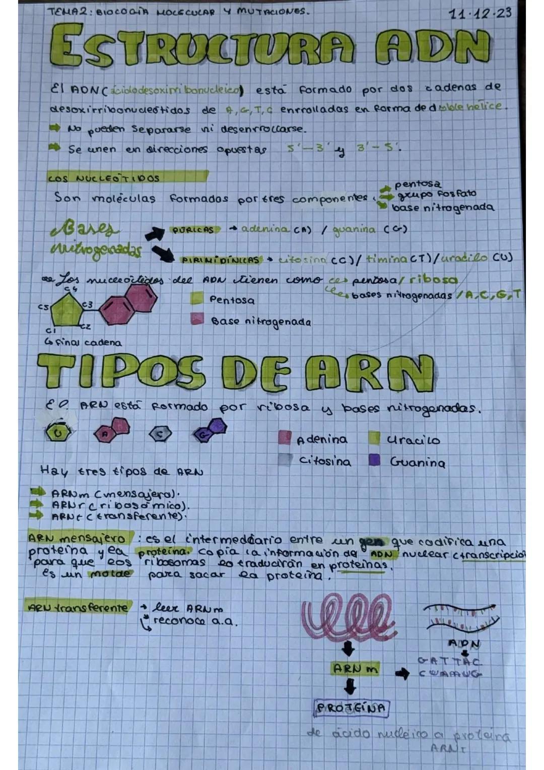 # Biologia videcaatavi
y mutaciones

TRANSCRIPCIÓN

ADN

ATCG

ARN

AUCG

TRADUCCION

PROTEINA

20 amino acidos
+
19.93bases N.

TRIPLETE

X