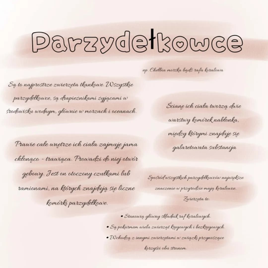 # Parzydełkowce

Są to najprostrze zwierzęta thankowe. Wszystkie
parzydełkowce, są drapieżnikami żyjącami w
środowisku wodnym, głównie w mor