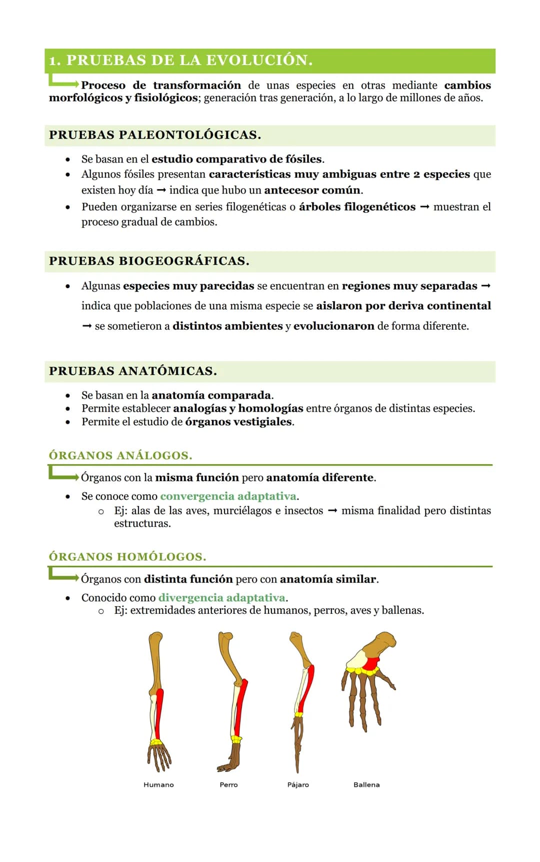 # 10. EVOLUCIÓN.

Aida Vázquez Reyes

17-3-2023 # 1. PRUEBAS DE LA EVOLUCIÓN.

➡Proceso de transformación de unas especies en otras mediante