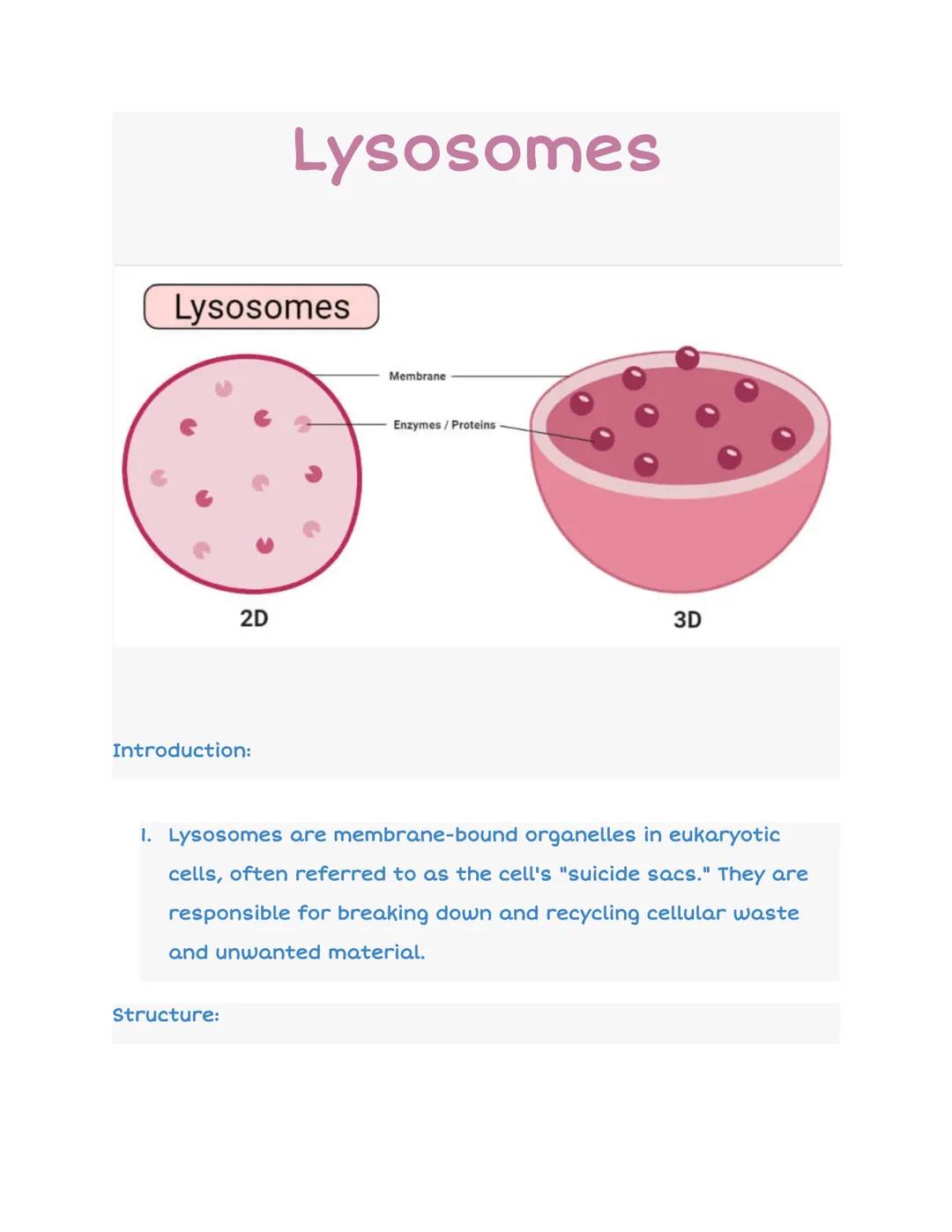 # Lysosomes

Lysosomes

Membrane

Enzymes/Proteins

2D

3D

Introduction:

1. Lysosomes are membrane-bound organelles in eukaryotic
cells, o