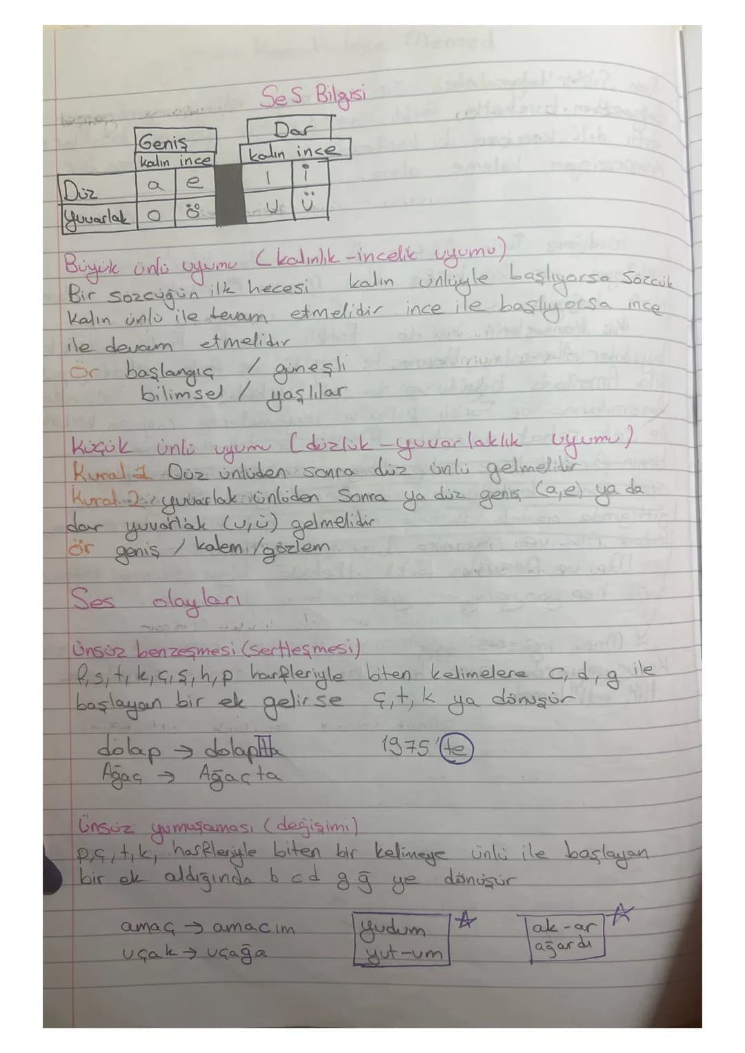 Ses Bilgisi

|       | Geniş     | Dar       |
| :---- | :---------- | :-------- |
|       | kalın ince | kalın ince |
| Düz   | a         e