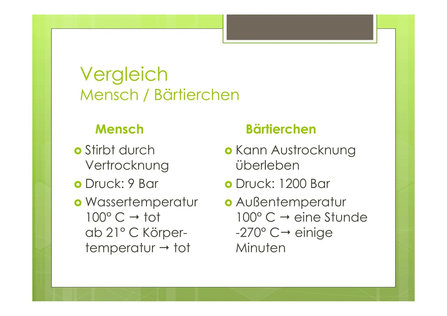 Bärtierchen
(Tardigrada)

von Celina, Janina, Sören Leg
muscle
Egg
Pharynx
Salivary
gland
Ovary Malpighian
tubule
Eyespot
Cerebral
ganglion
