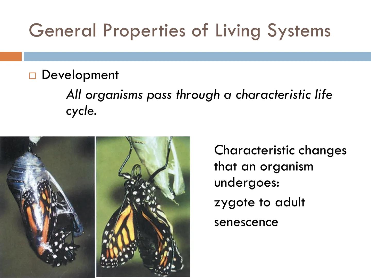 FUNDAMENTALS OF
ANIMAL BIOLOGY Zoology

The scientific study of animal life

Attempt to solve the mysteries of animal life and its
origin.

