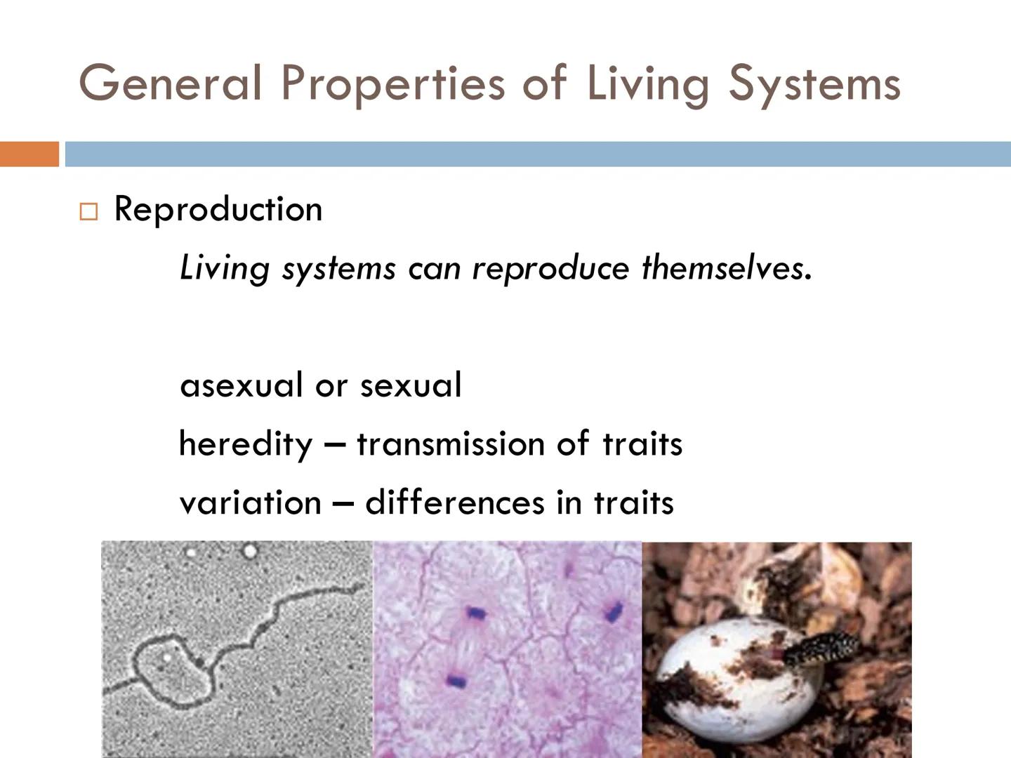 FUNDAMENTALS OF
ANIMAL BIOLOGY Zoology

The scientific study of animal life

Attempt to solve the mysteries of animal life and its
origin.

