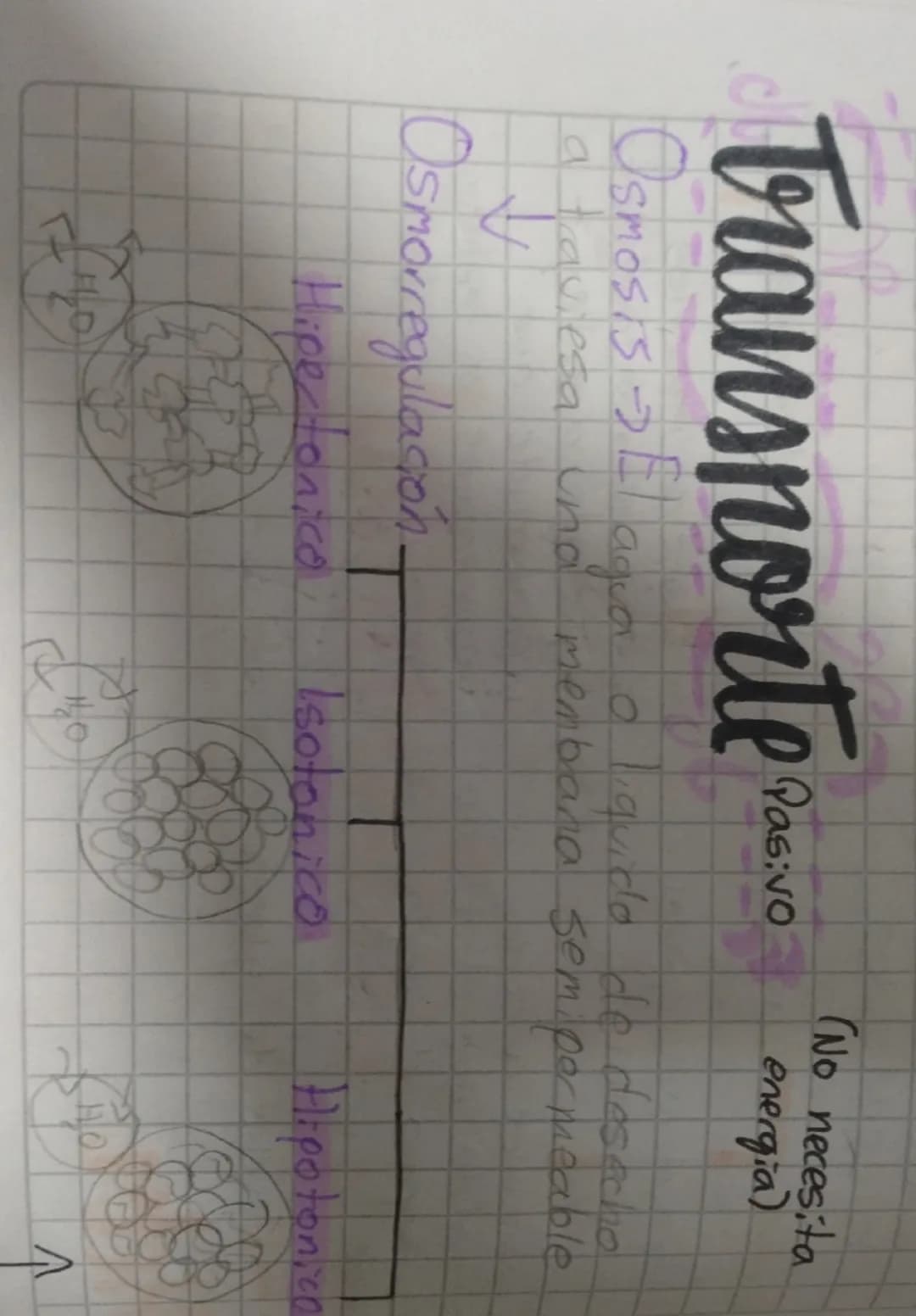 Transporte Paavo
→
(No necesita
energia)

Osmosis El aguar o liquido de desecho
La traviesa una membrana semipermeable

Osmorregulación.

Hi