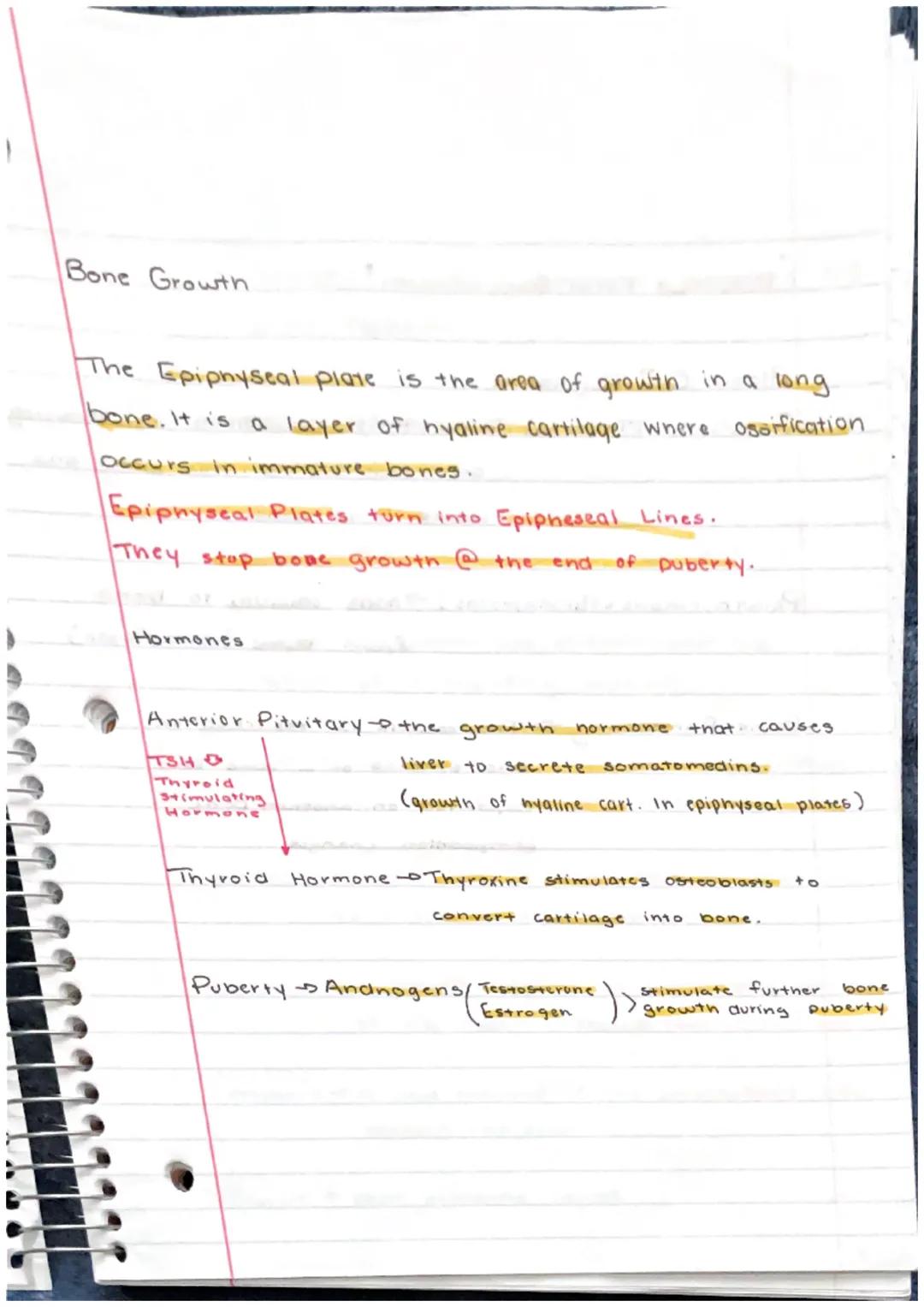 Skeletal System

Bone or Osscous Tissue $\rightarrow$ a hard, dense connective
tissue that forms most of the adult skeleton, the
Support str