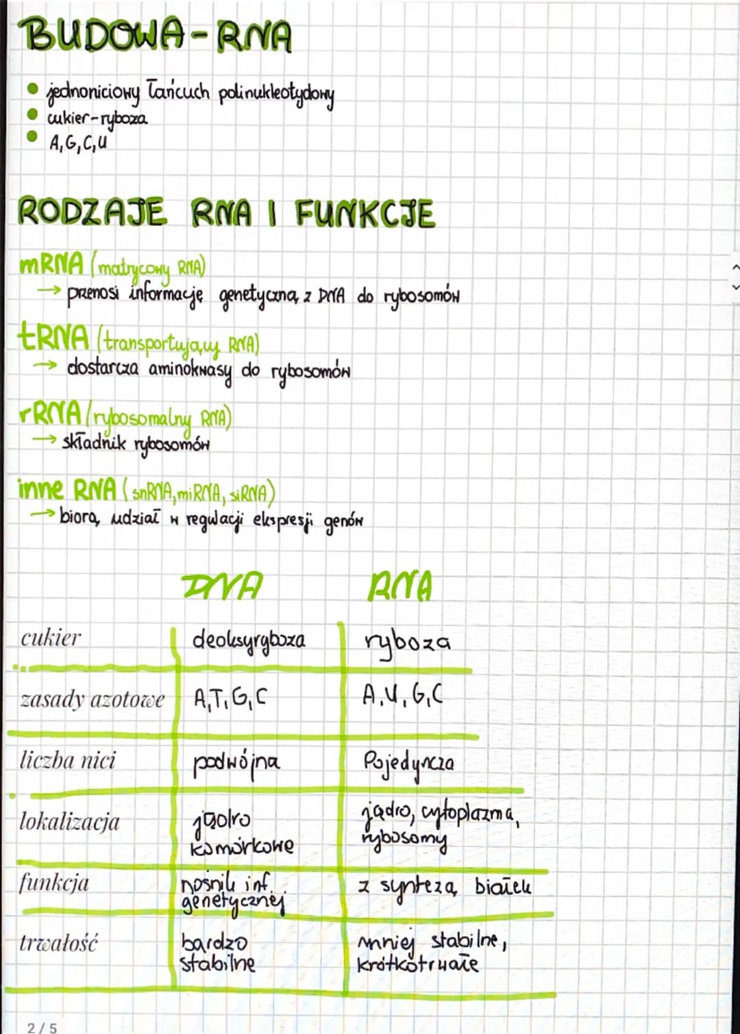 # DNA RNA

Kwasy nukleinone

→ kwasy nukleinone to związki organiczne zbudowane z nukleotydow:

*   DIYA (kuas deoksyrybonukleiпону)
*   RNA