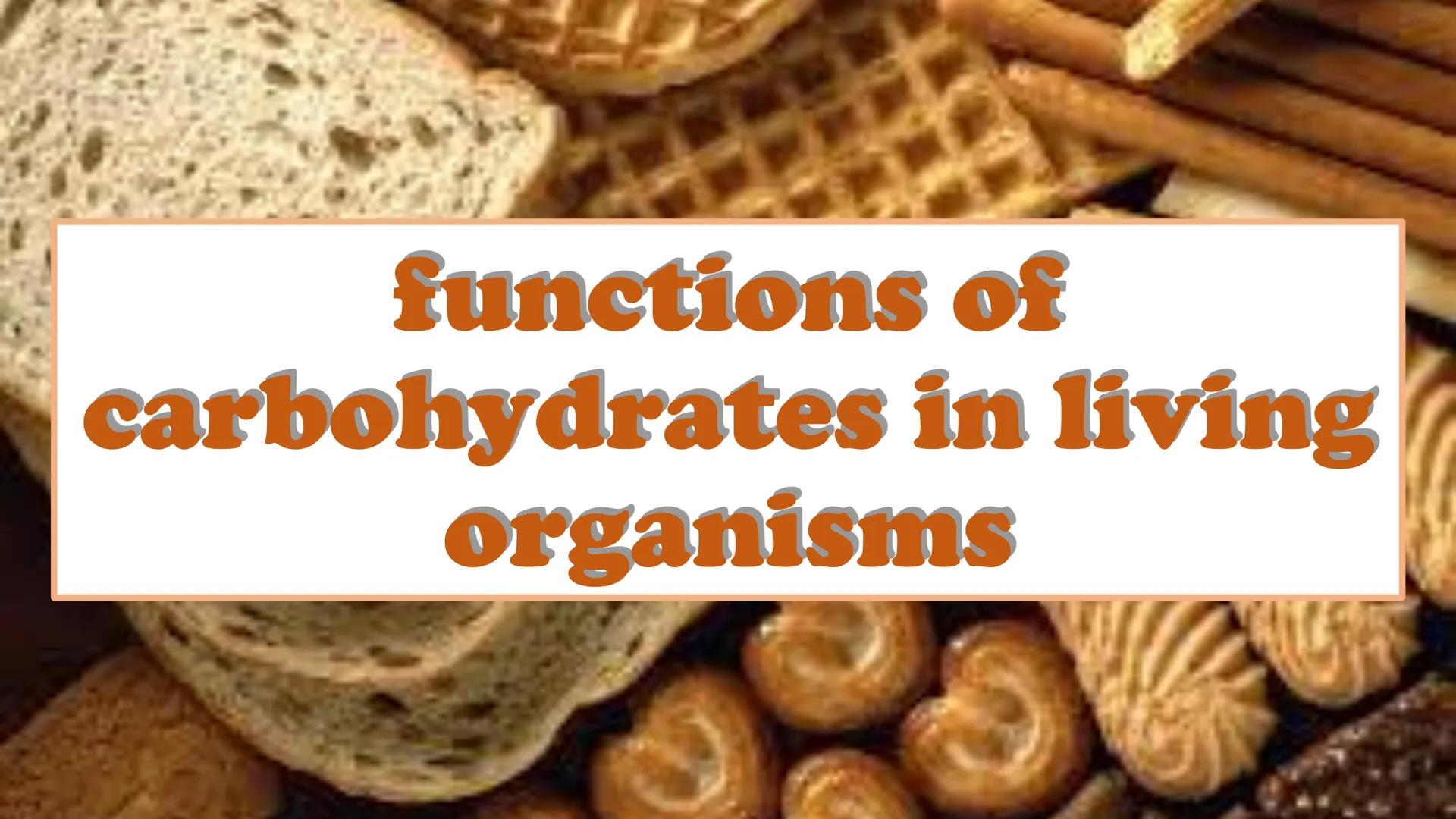 carbohydrates carbohydrates
▲ are also known as "carbs"
▲ have several roles in living organisms,
including energy transportation
▲ are also