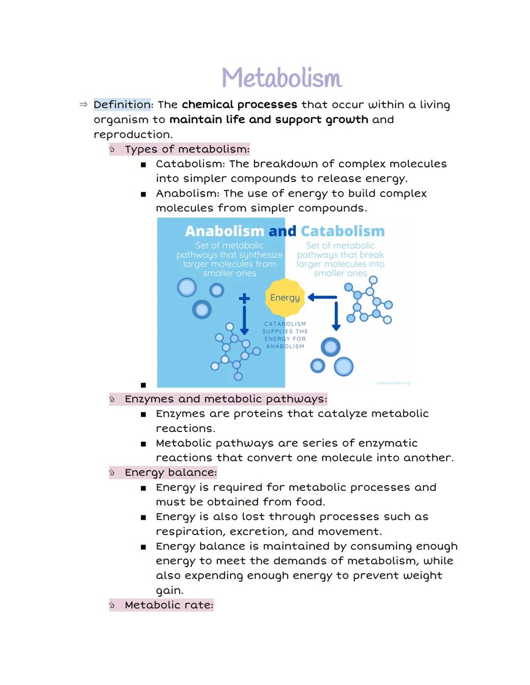 Metabolism

⇒ Definition: The chemical processes that occur within a living
organism to maintain life and support growth and
reproduction.

