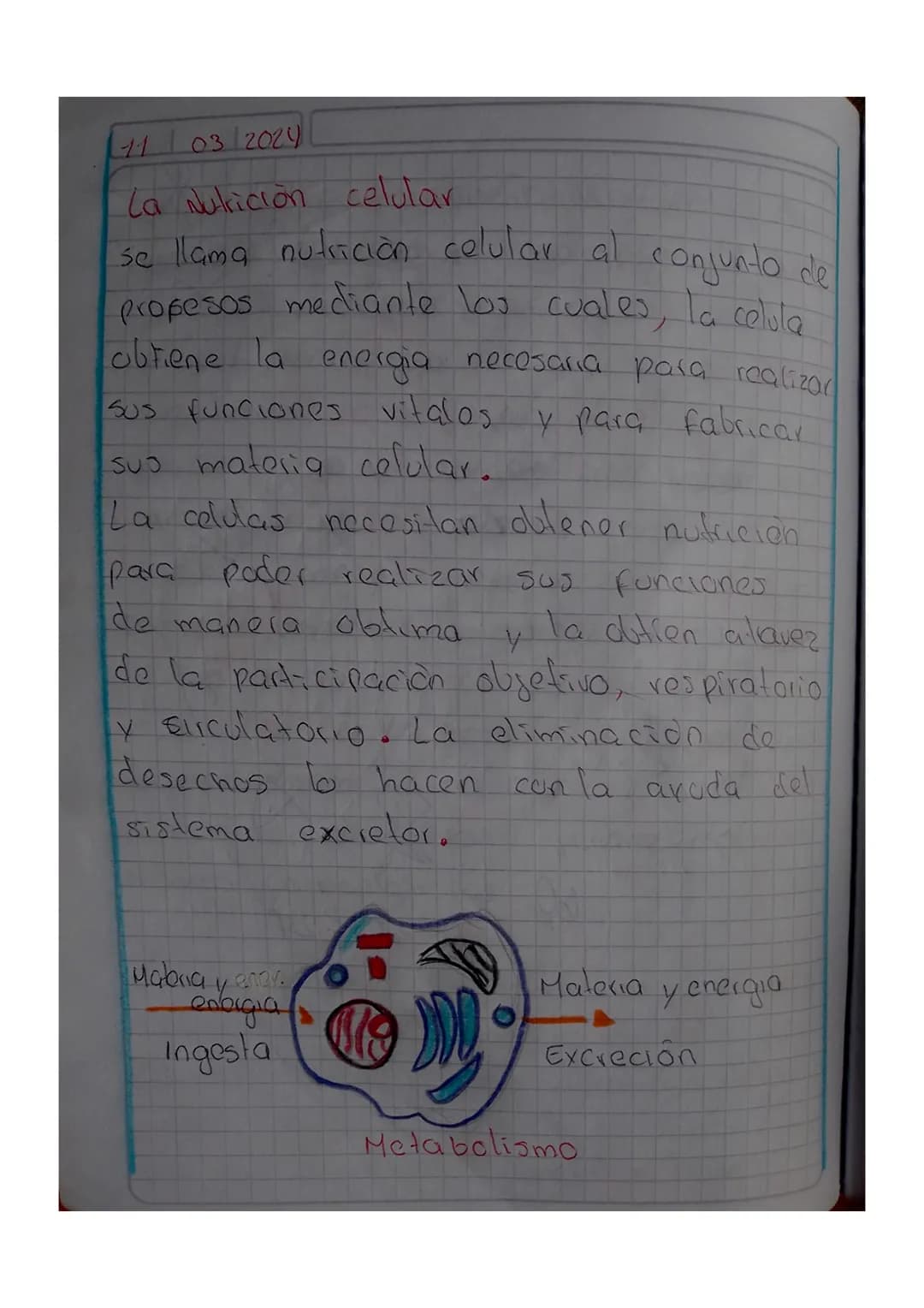 11 03 2024
# La Nutrición celular

se llama nutrición celular al conjunto del
propesos mediante los cuales, la celula
obtiene la energia nec