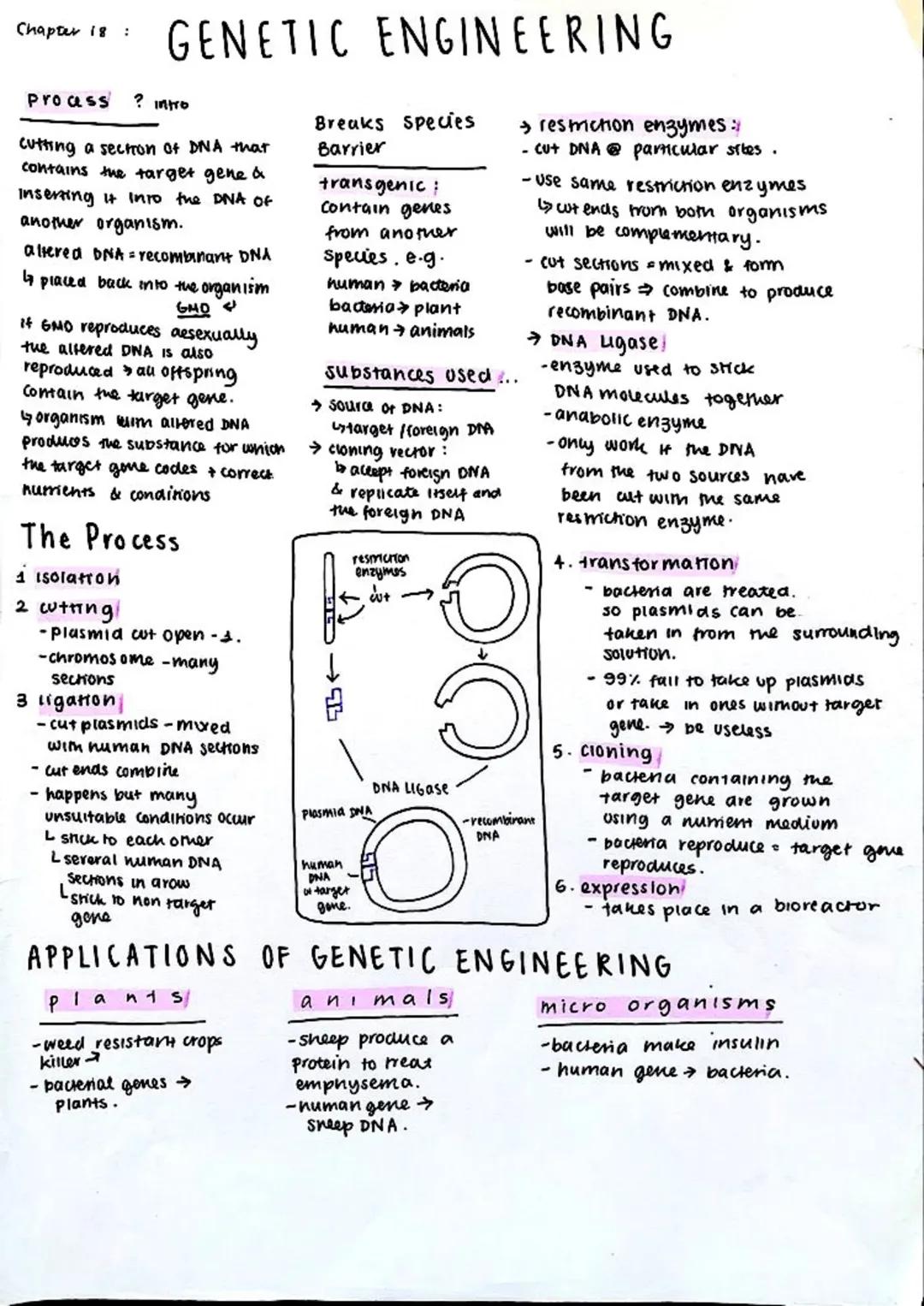 Chapter 18:
# GENETIC ENGINEERING

Proass? intro

cutting a section of DNA that
contains the target gene &
Inserting it into the DNA of
anot