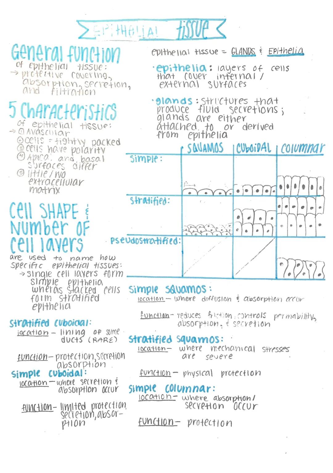 # Histology-

Histology: microscopic study of tissue

Biopsy: removal of tissue for diagnostic purposes

autopsy: examination of organs of a