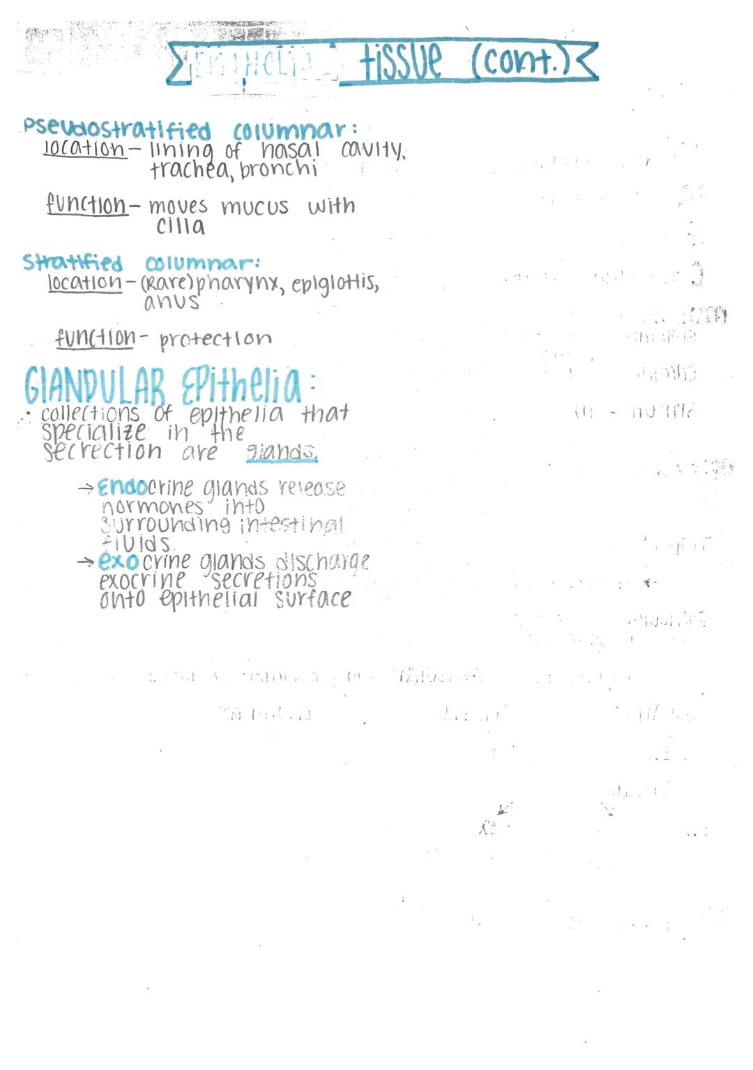 # Histology-

Histology: microscopic study of tissue

Biopsy: removal of tissue for diagnostic purposes

autopsy: examination of organs of a