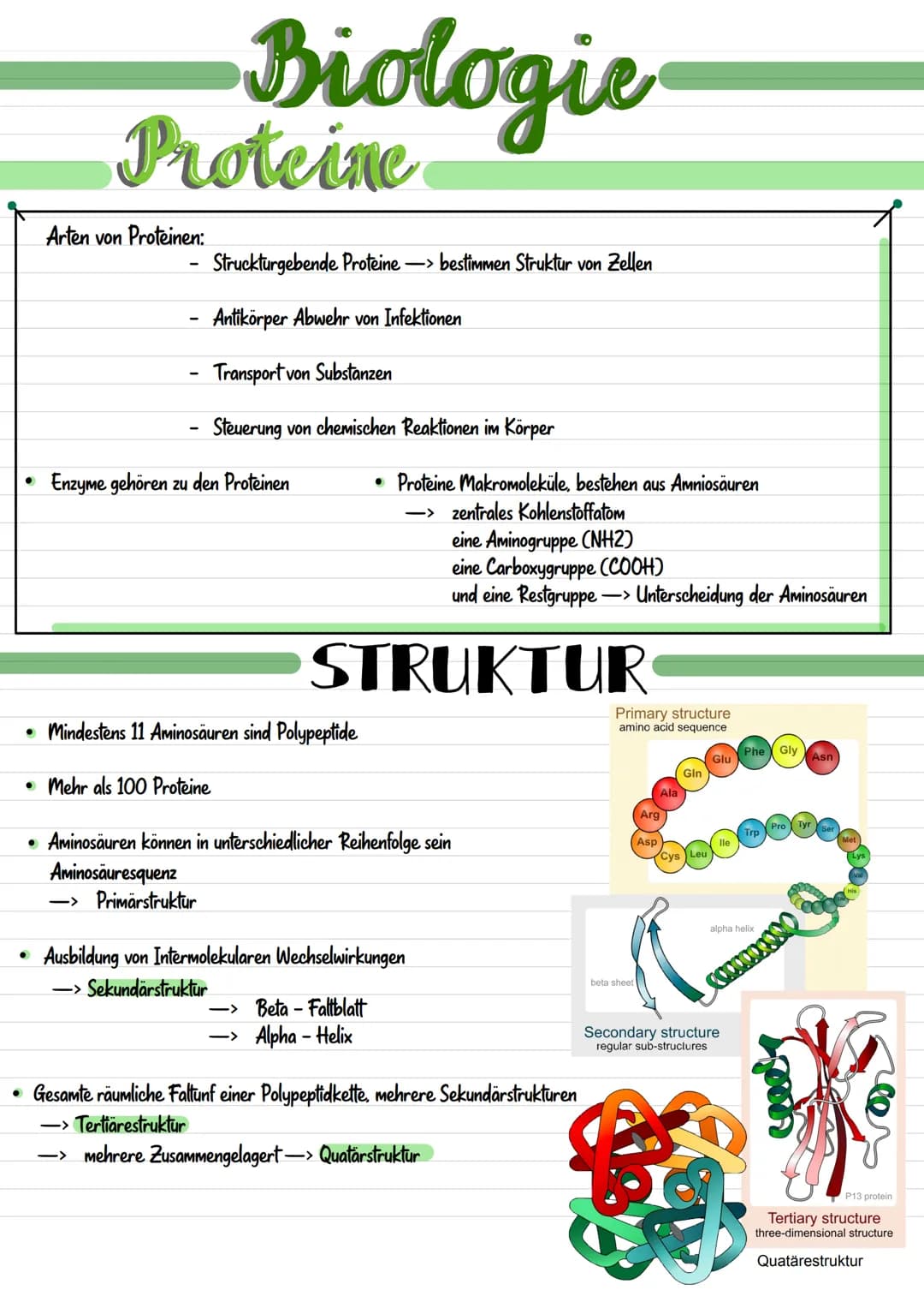 Enzymatik # Enzymatik

# Wirkungsweise

Substratspezifisch

Ein Enzym ist
substratspezifisch,
da immer nur ein
Substrat zu dem
passendem Akt