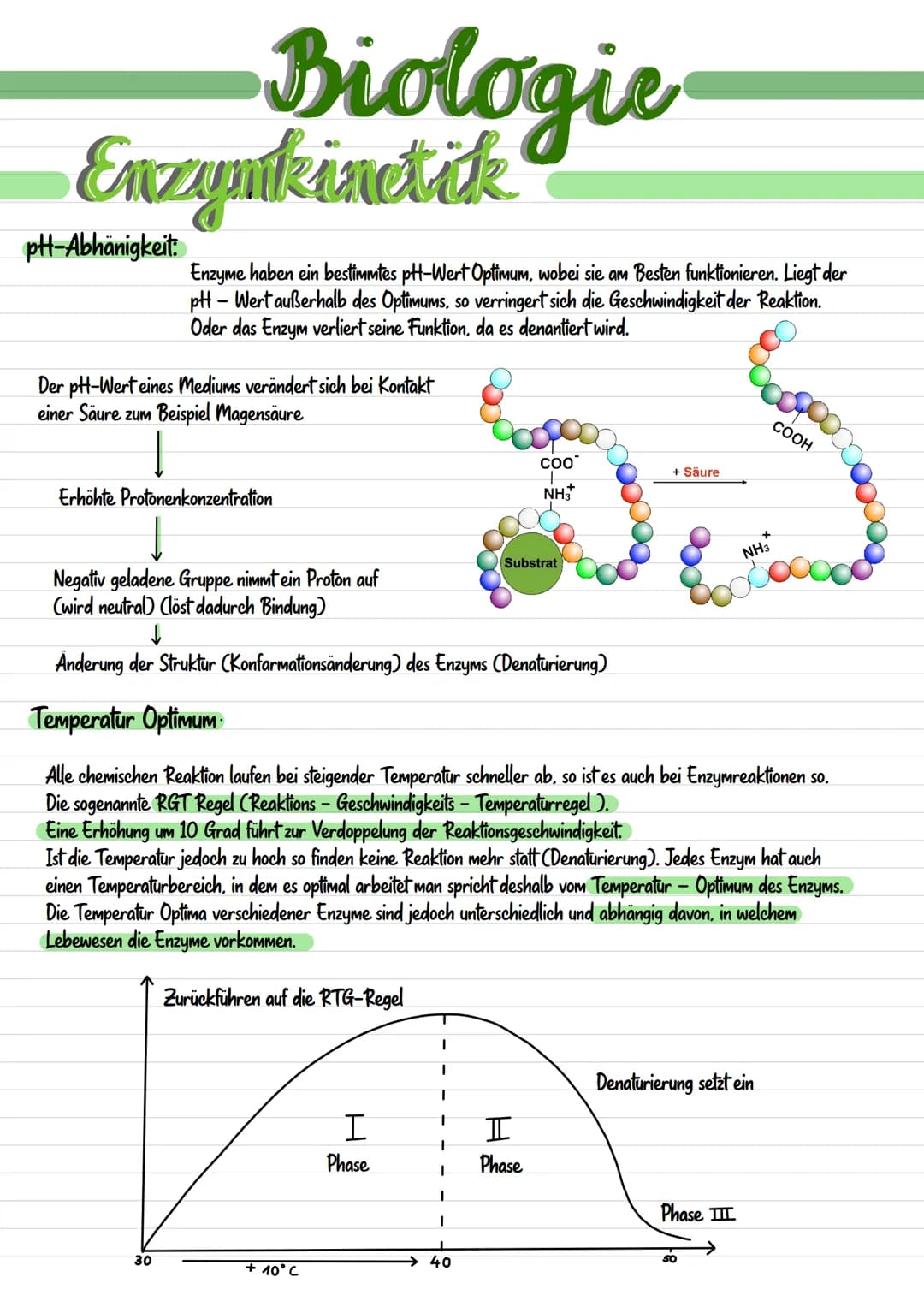 Enzymatik # Enzymatik

# Wirkungsweise

Substratspezifisch

Ein Enzym ist
substratspezifisch,
da immer nur ein
Substrat zu dem
passendem Akt